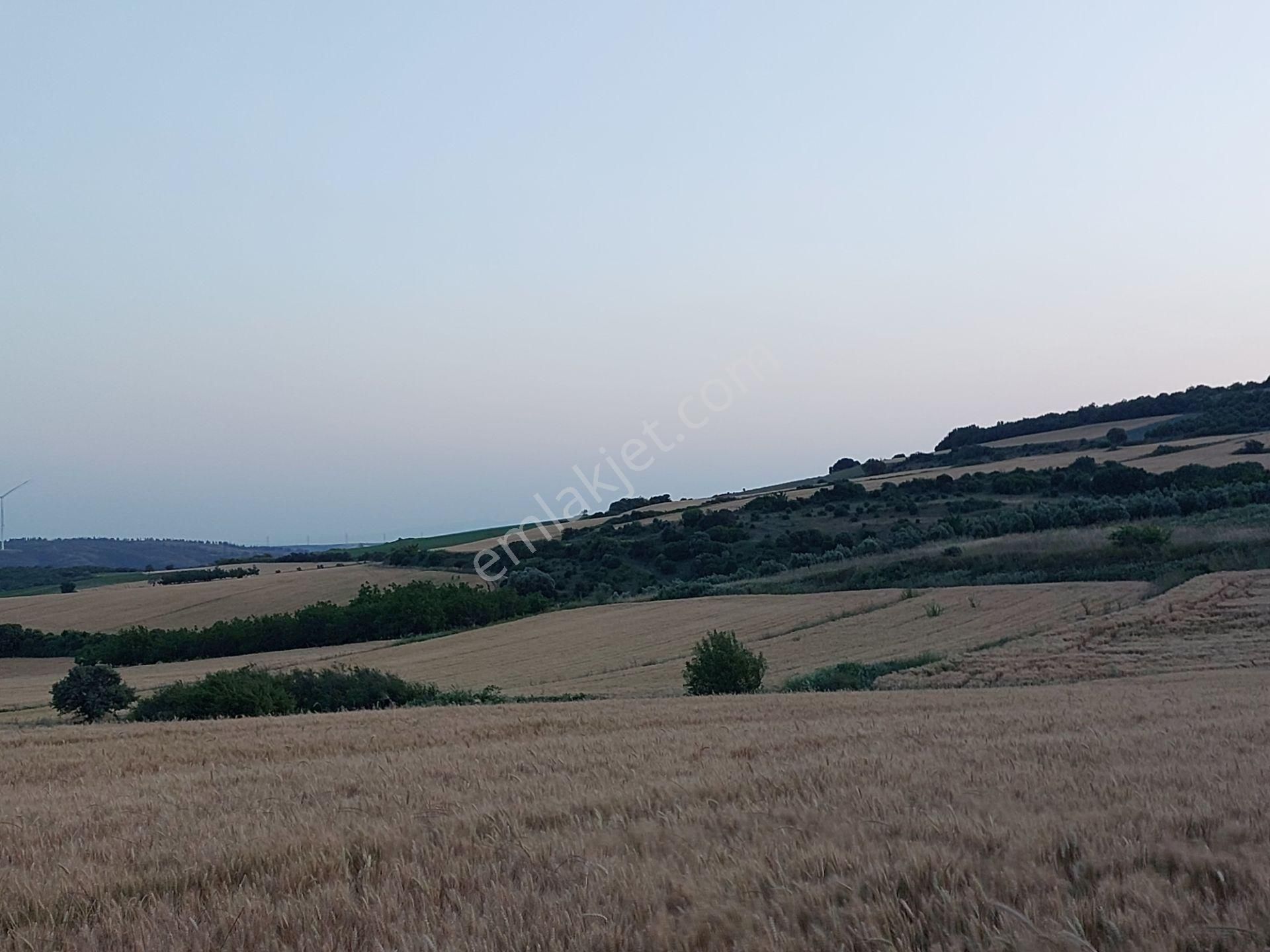 Bursa Karacabey Çamlıcada Anayola Yakın Satılık Yatırımlık 14600m2 Tarla - Görsel 7