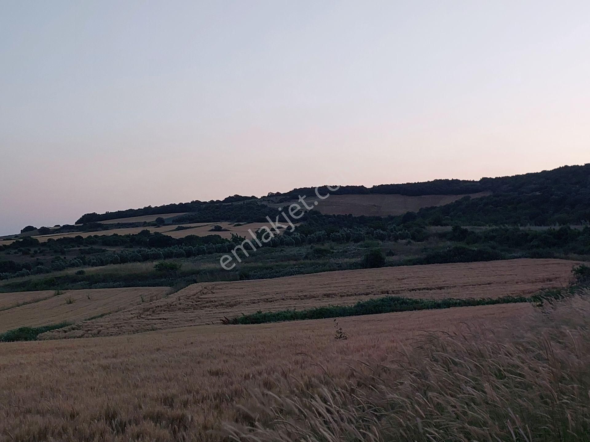 Bursa Karacabey Çamlıcada Anayola Yakın Satılık Yatırımlık 14600m2 Tarla - Görsel 12