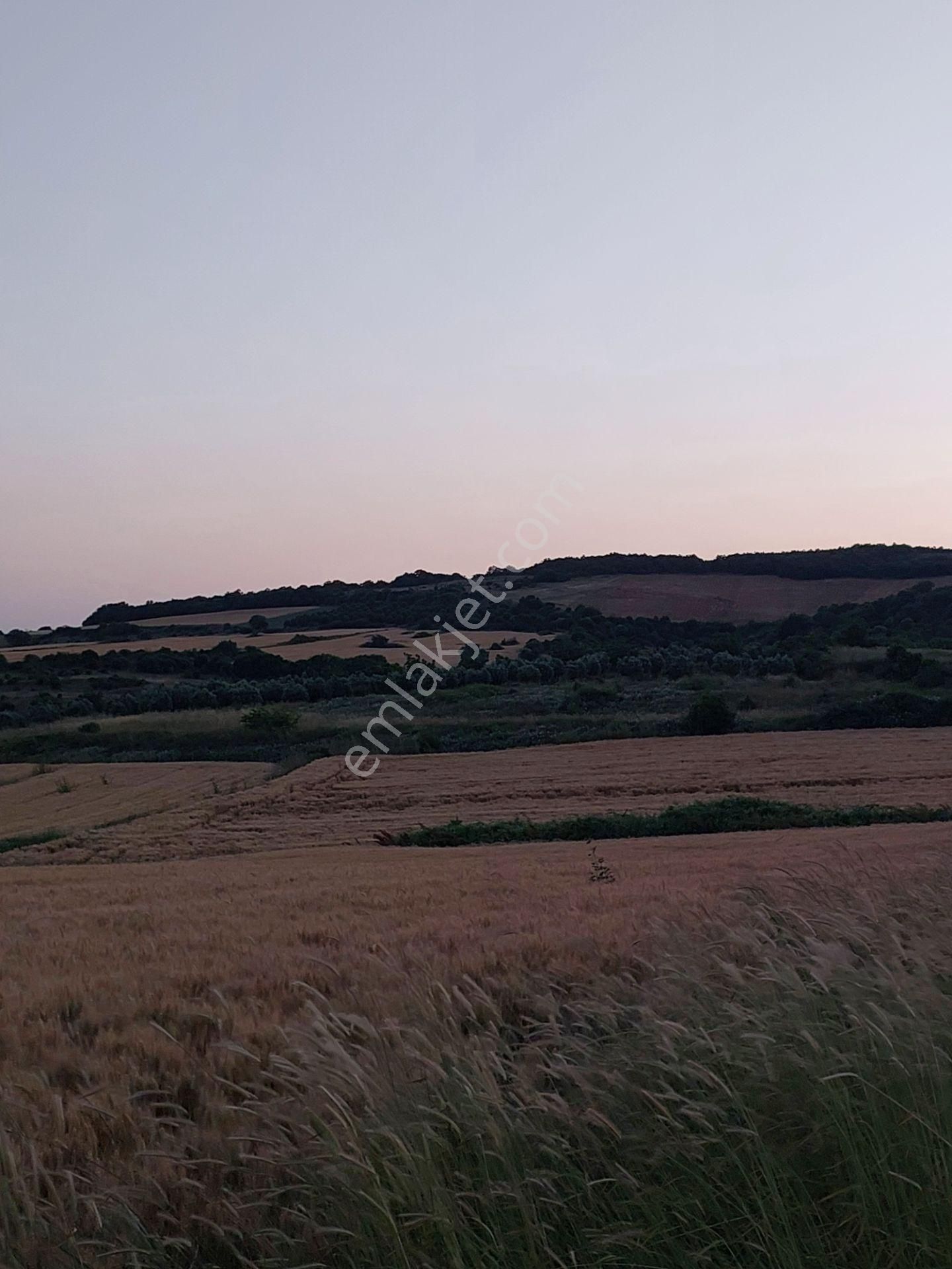 Bursa Karacabey Çamlıcada Anayola Yakın Satılık Yatırımlık 14600m2 Tarla - Görsel 5