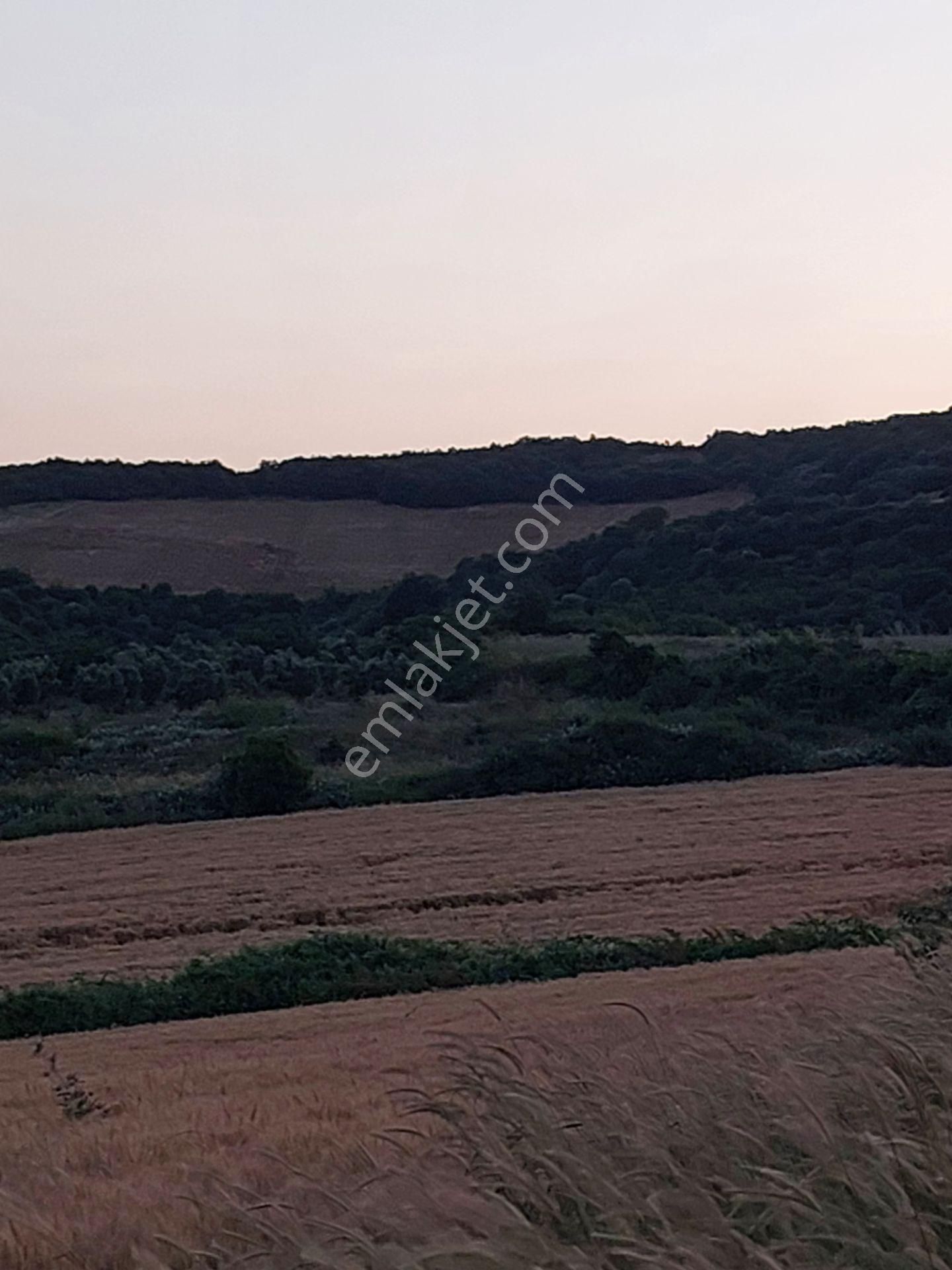 Bursa Karacabey Çamlıcada Anayola Yakın Satılık Yatırımlık 14600m2 Tarla - Görsel 24