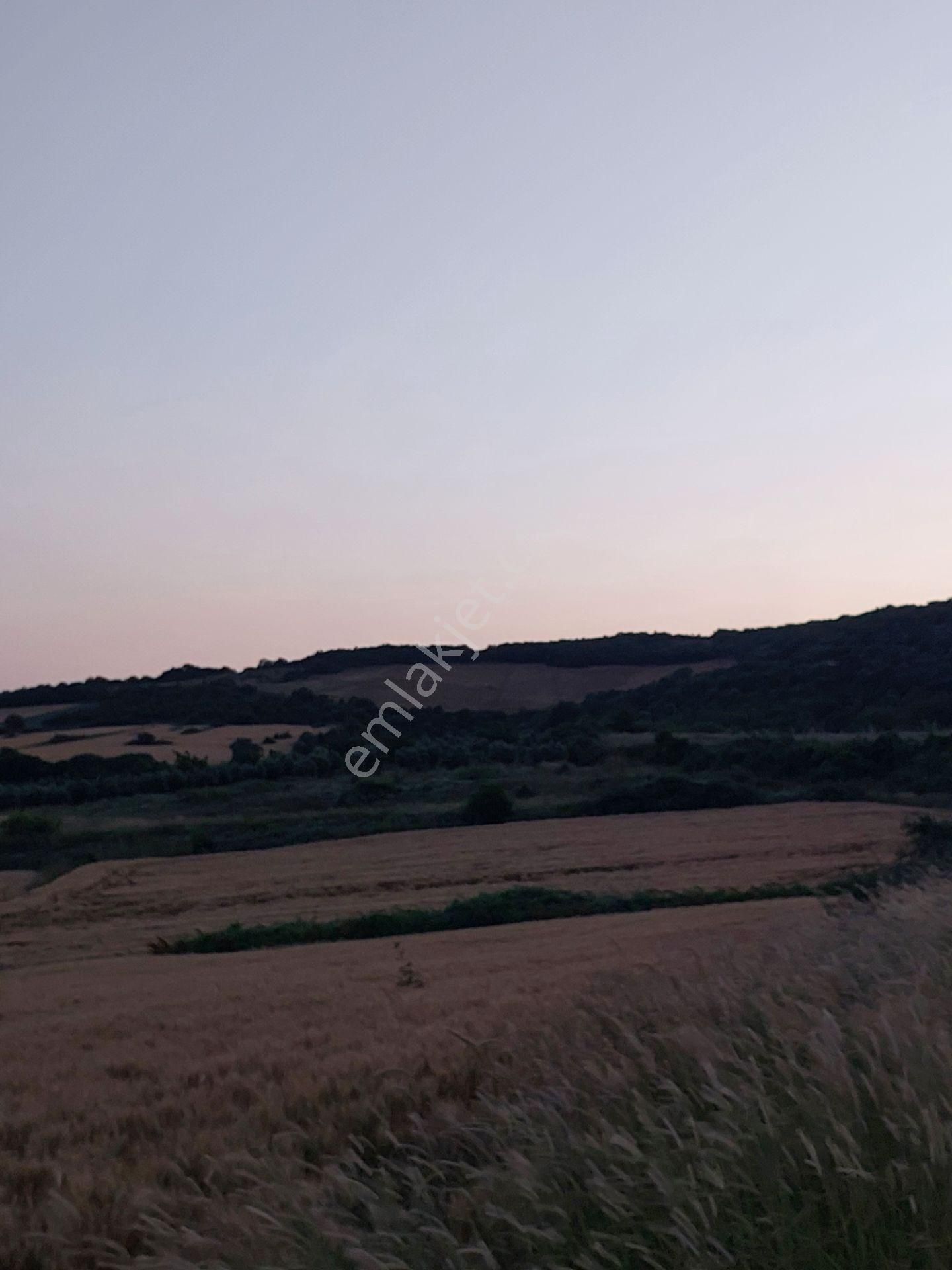 Bursa Karacabey Çamlıcada Anayola Yakın Satılık Yatırımlık 14600m2 Tarla - Görsel 10