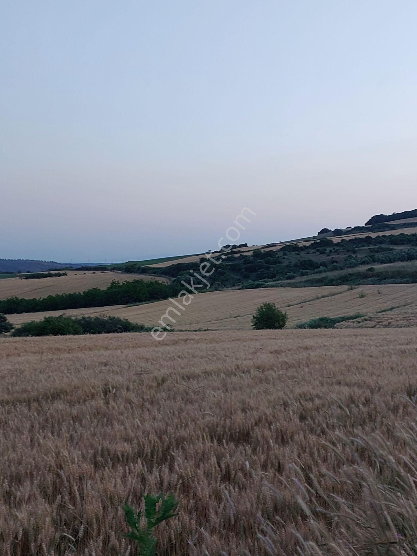 Bursa Karacabey Çamlıcada Anayola Yakın Satılık Yatırımlık 14600m2 Tarla - Görsel 17