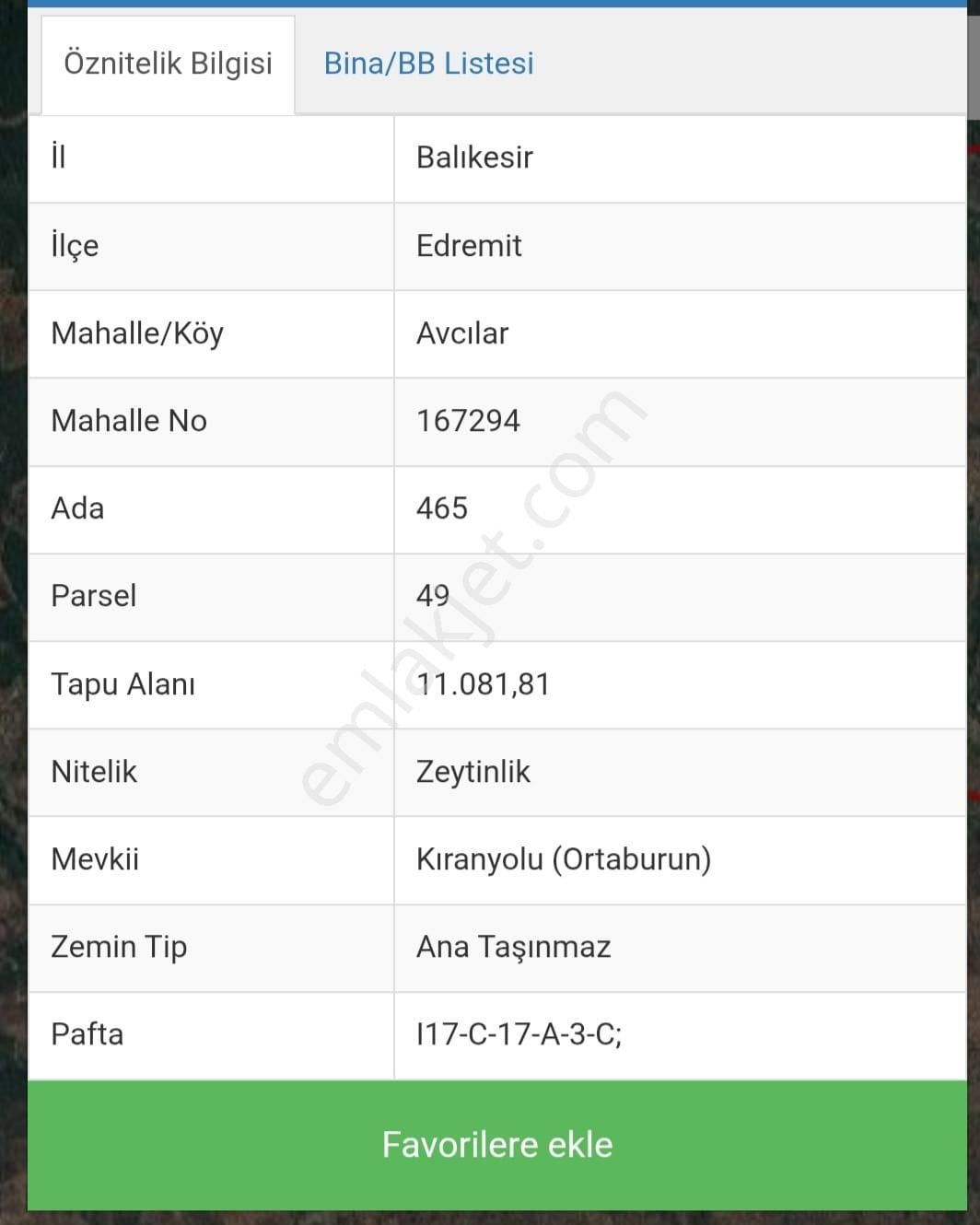 Irmaksudan Avcılar Da 11 Dönümlük Zeytinlik - Görsel 3