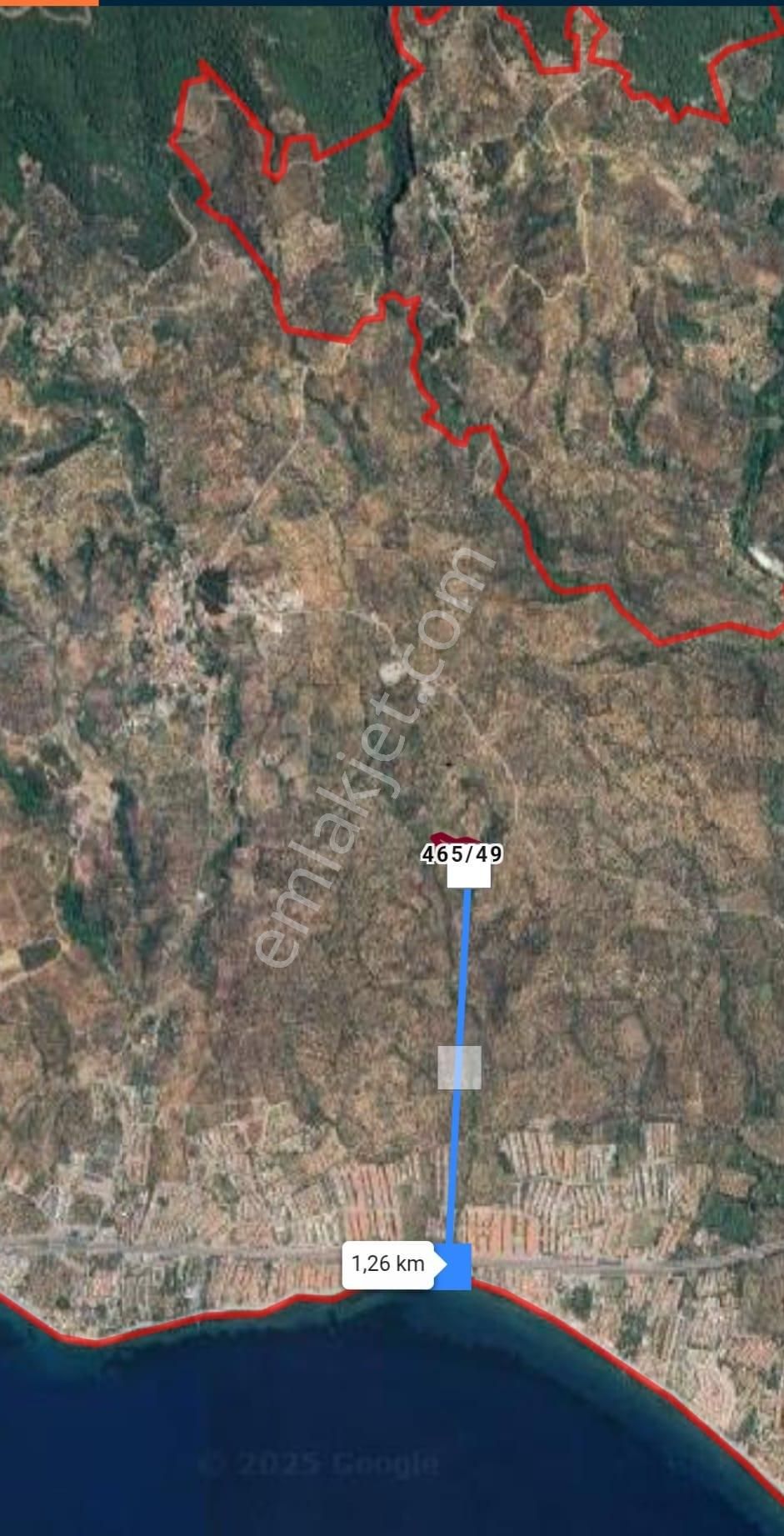 Irmaksudan Avcılar Da 11 Dönümlük Zeytinlik - Görsel 6