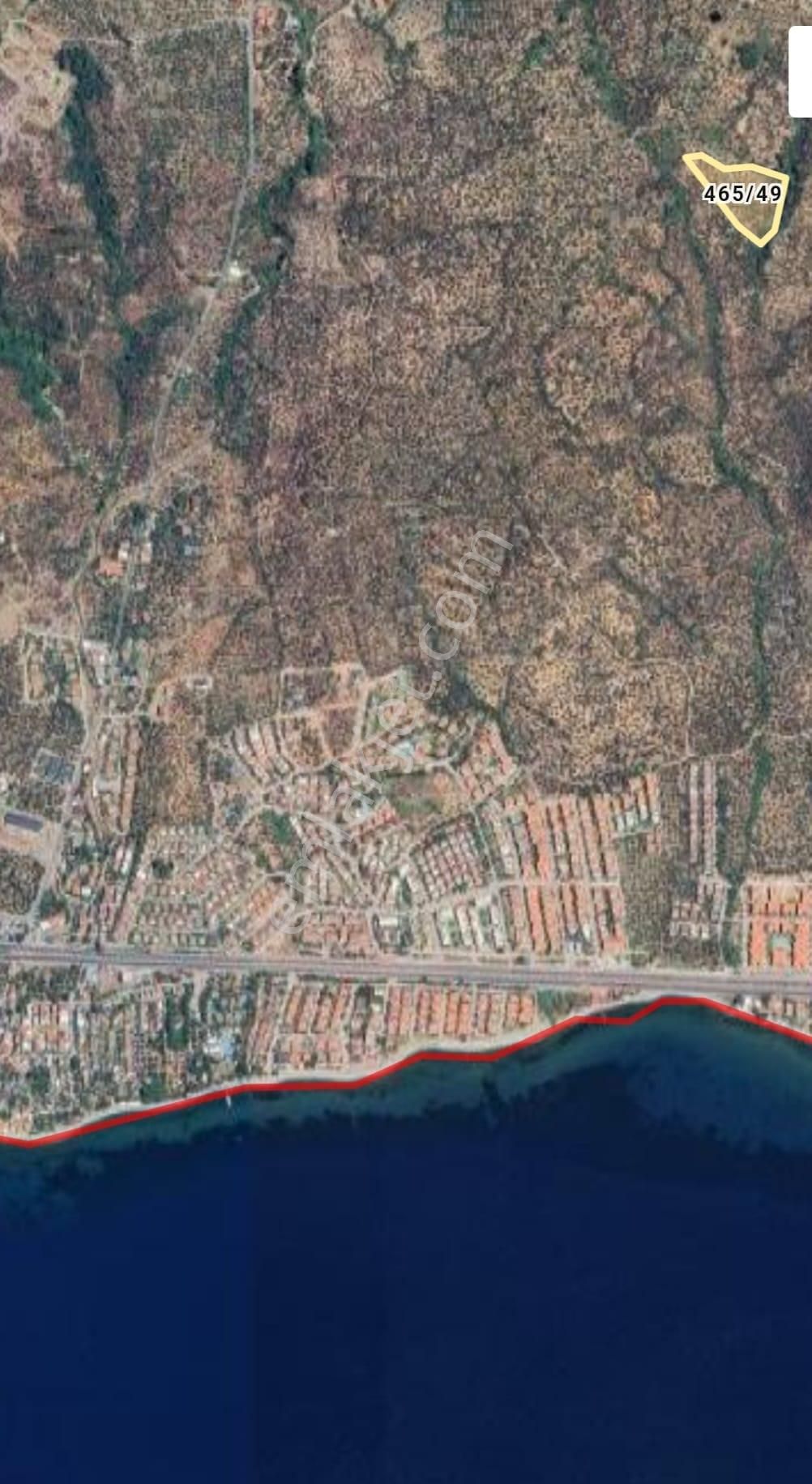 Irmaksudan Avcılar Da 11 Dönümlük Zeytinlik - Görsel 2