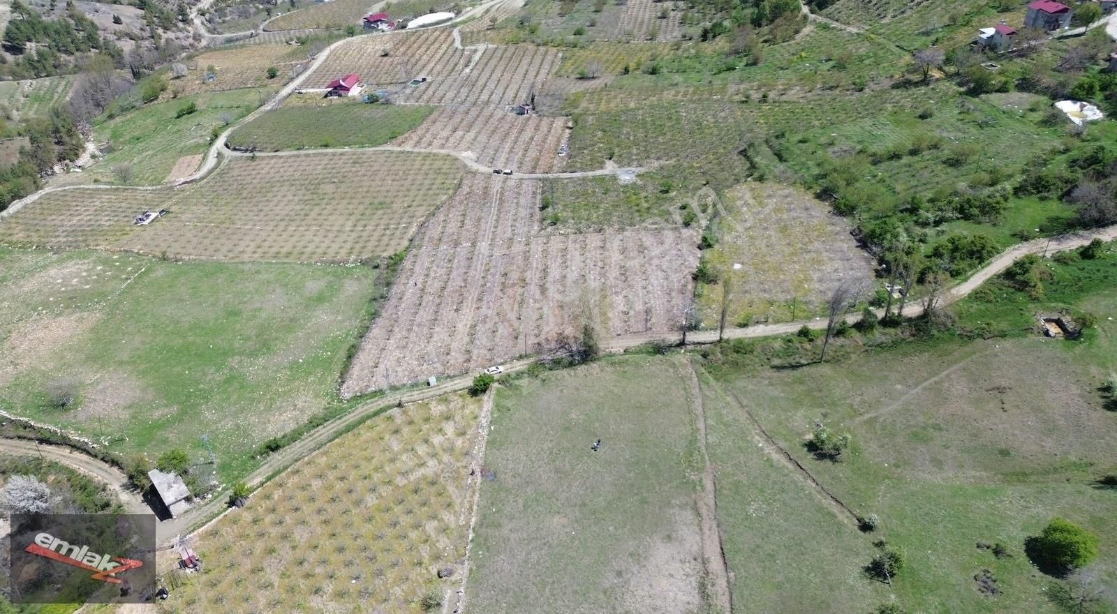 Emlak Z'den Güzelyayla Evcilide 2620 M2 Tek Tapu Satılık Arsa - Görsel 3