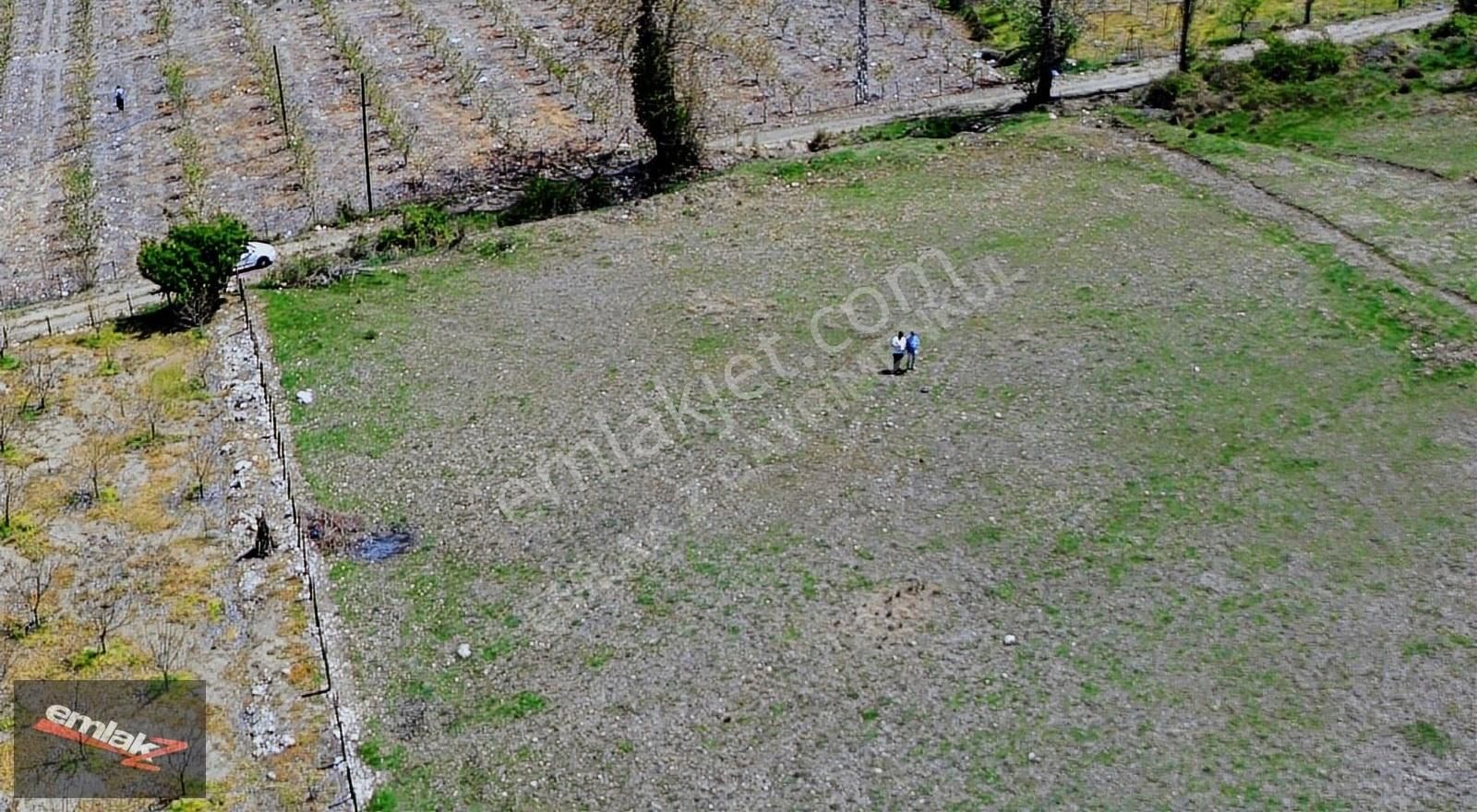 Emlak Z'den Güzelyayla Evcilide 2620 M2 Tek Tapu Satılık Arsa - Görsel 4