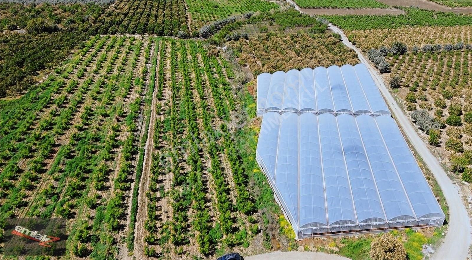 Bölgenin En Uygunu Otoban Bağlantsına 2 Km 7.660 M2 Şeftali Bah. - Görsel 3