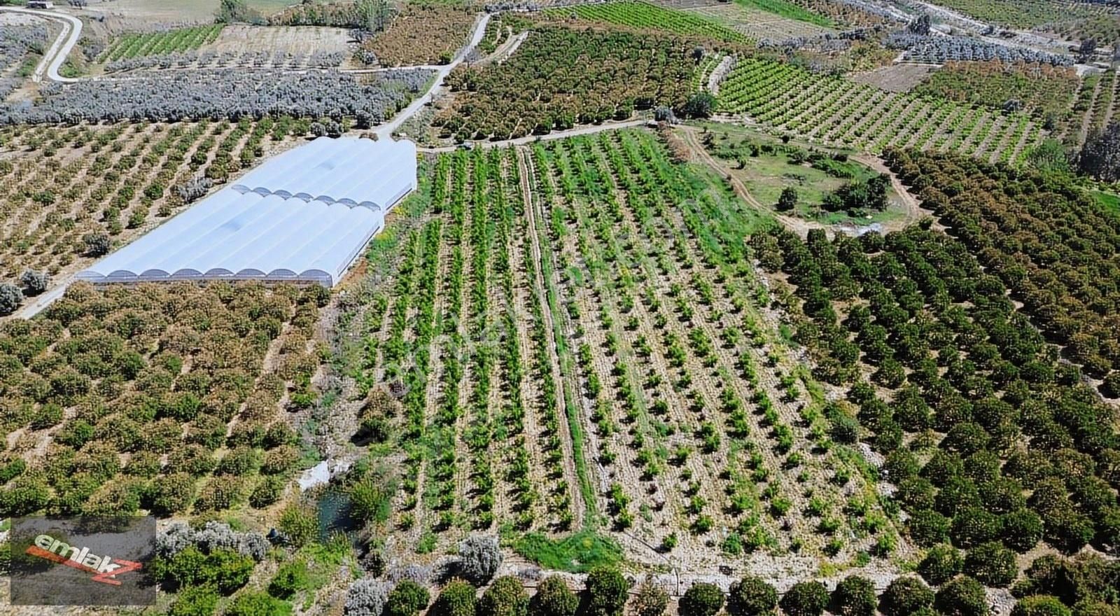Bölgenin En Uygunu Otoban Bağlantsına 2 Km 7.660 M2 Şeftali Bah. - Görsel 10