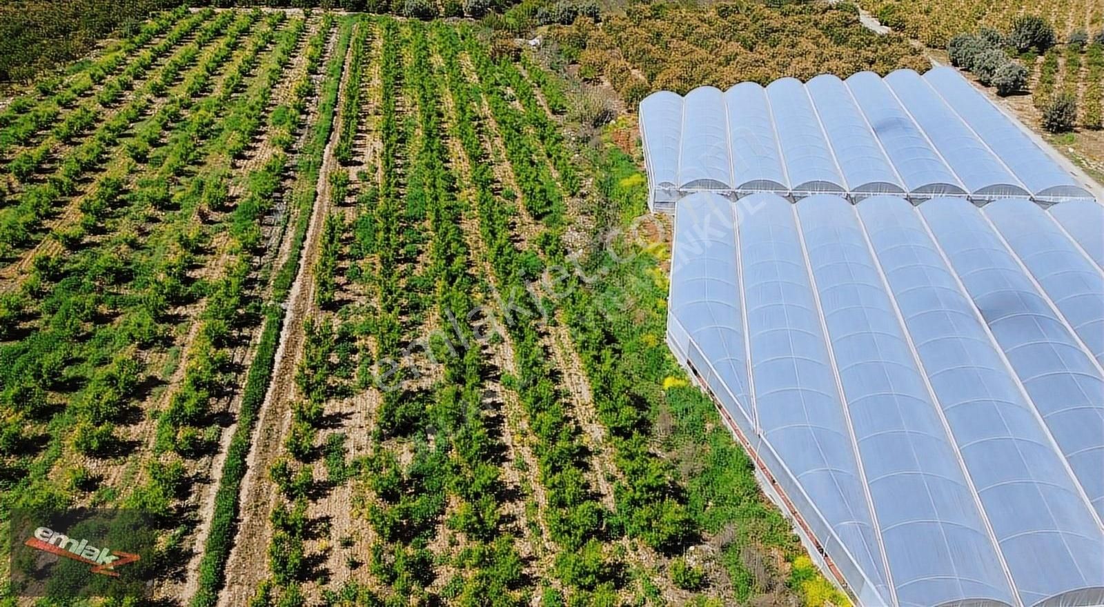 Bölgenin En Uygunu Otoban Bağlantsına 2 Km 7.660 M2 Şeftali Bah. - Görsel 5