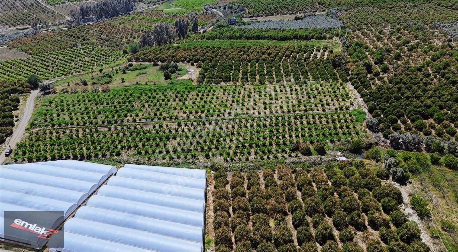 Bölgenin En Uygunu Otoban Bağlantsına 2 Km 7.660 M2 Şeftali Bah. - Görsel 11