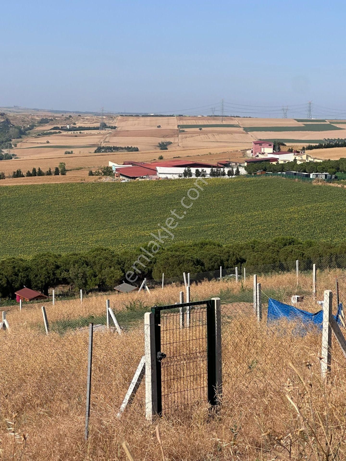 Marmaraereğlisinde 750 M2 Etrafı Çevrili Hobi Bahçeleri