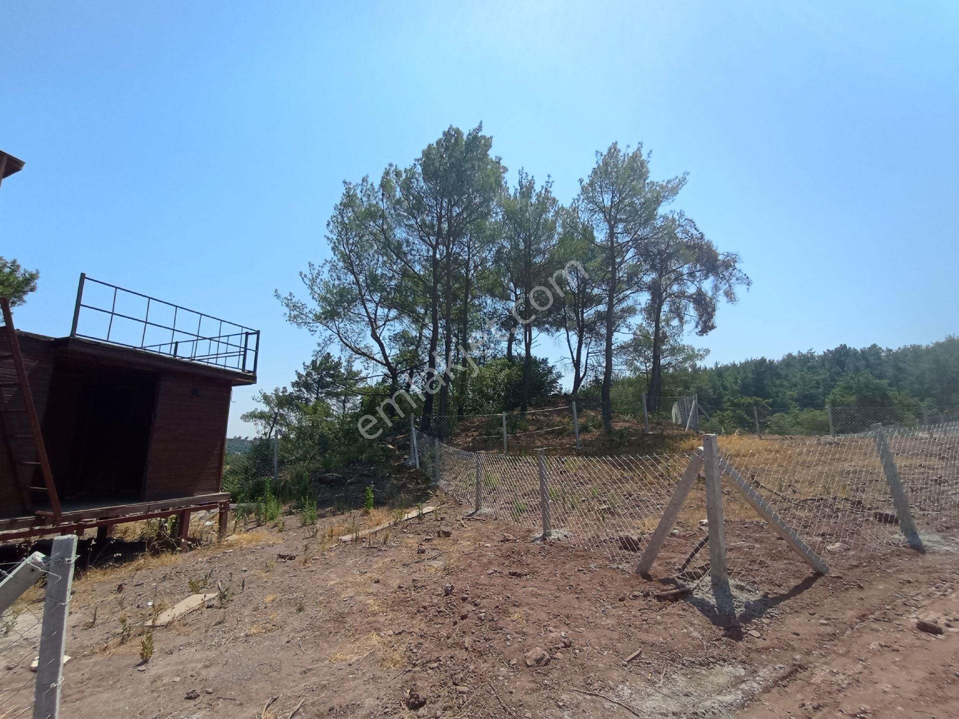 Menderes Catalcada 400 M2 Tapulu Arsa - Görsel 4