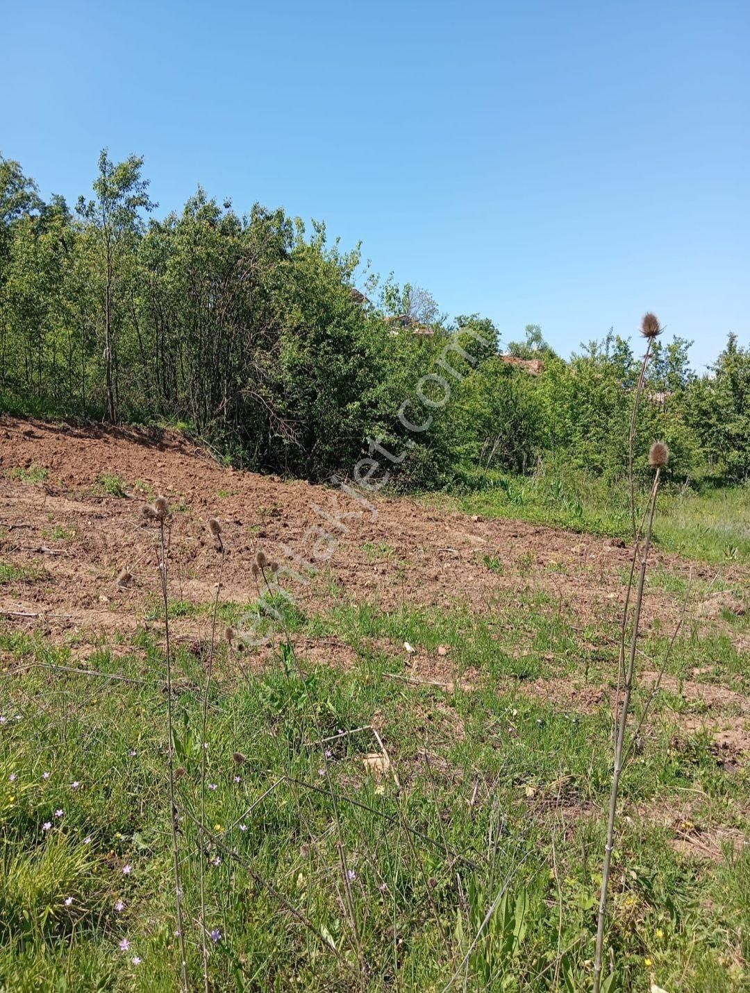 Elmas Gayrimenkul Den Kestel Orhanıye Satılık Arsa - Görsel 5