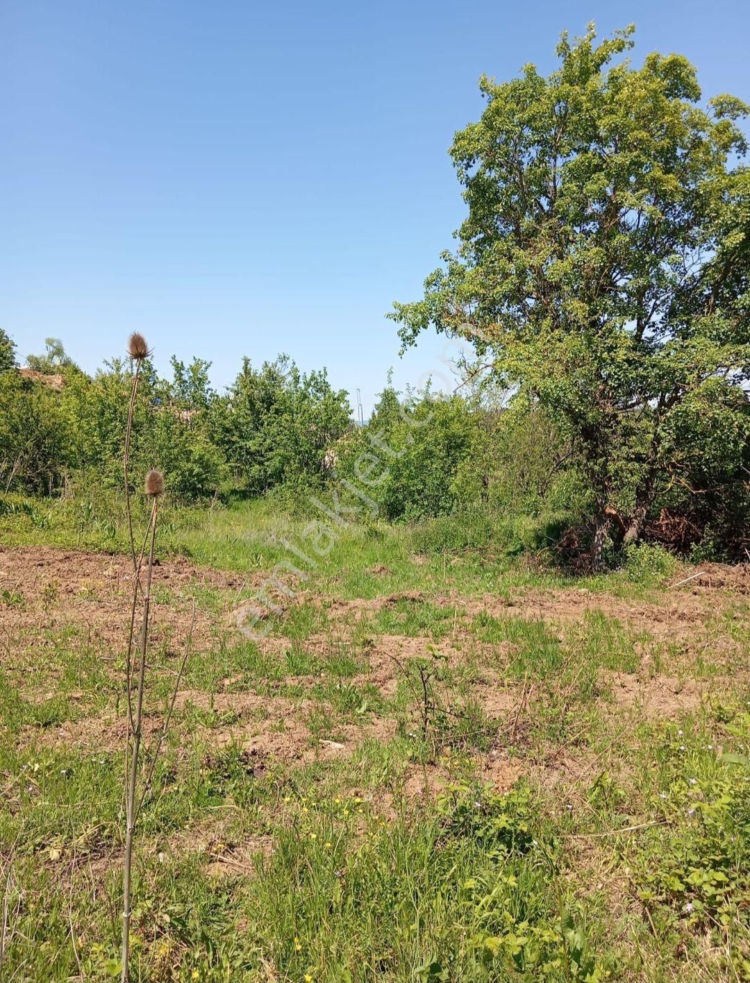 Elmas Gayrimenkul Den Kestel Orhanıye Satılık Arsa - Görsel 6