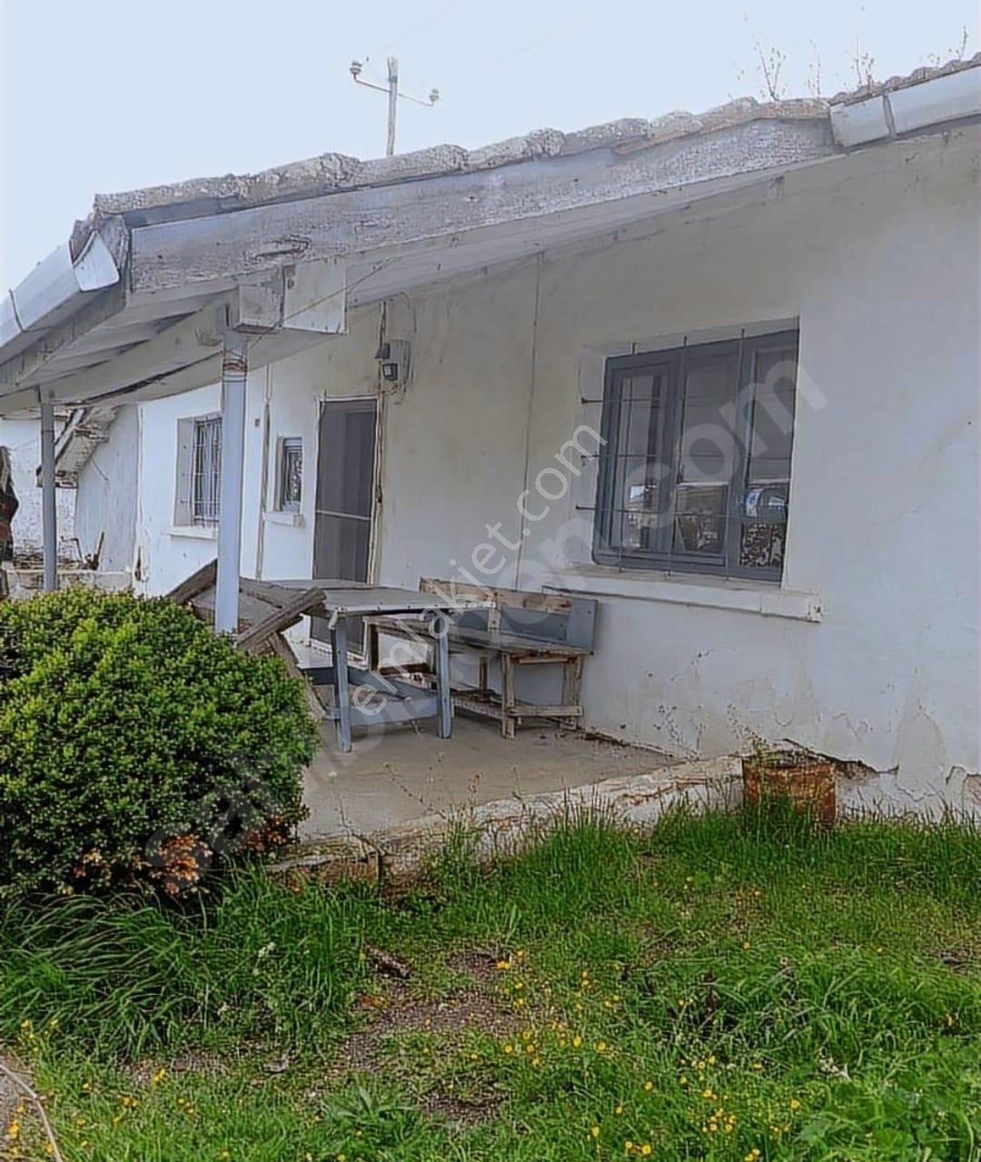 Kırklareli İli Merkez İlçesi Koyunbaba Köyünde Satılık Köy Evi Ve Müştemilatı - Görsel 13