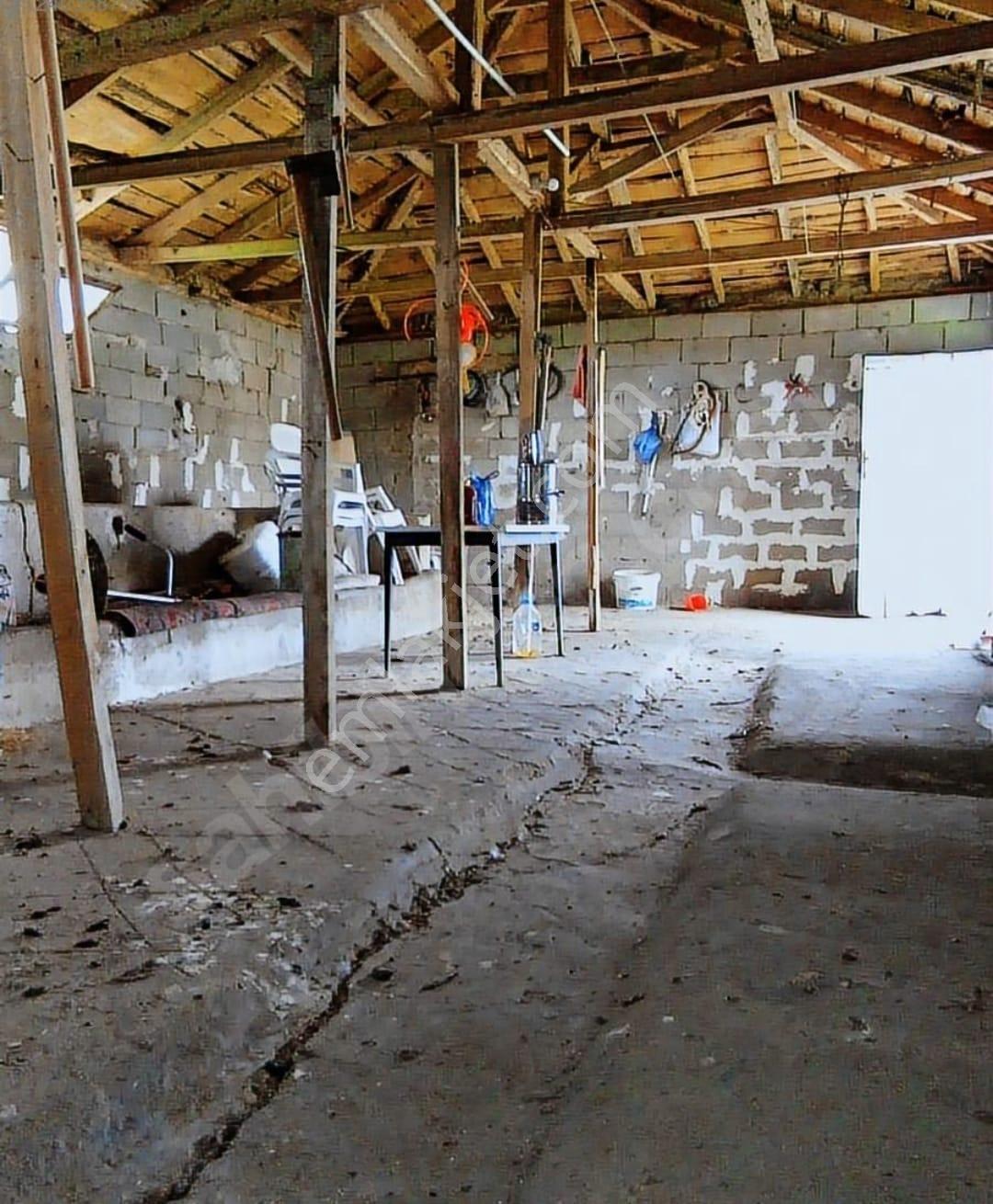 Kırklareli İli Merkez İlçesi Koyunbaba Köyünde Satılık Köy Evi Ve Müştemilatı - Görsel 18