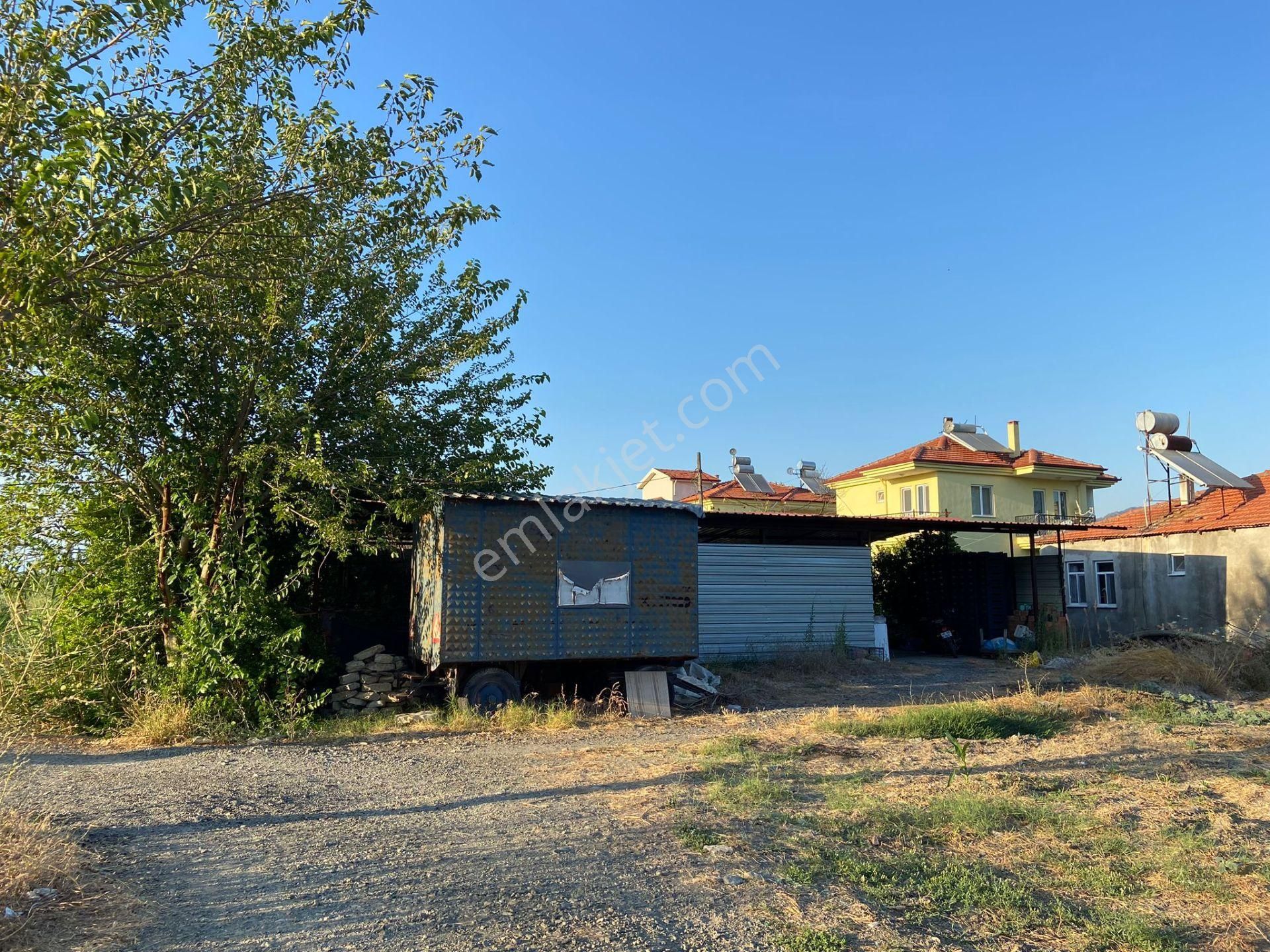 Ortaca Eskiköy De 5200 M2 Tarla İçinde Müstakil Ev Ve Sera Satılık - Görsel 5