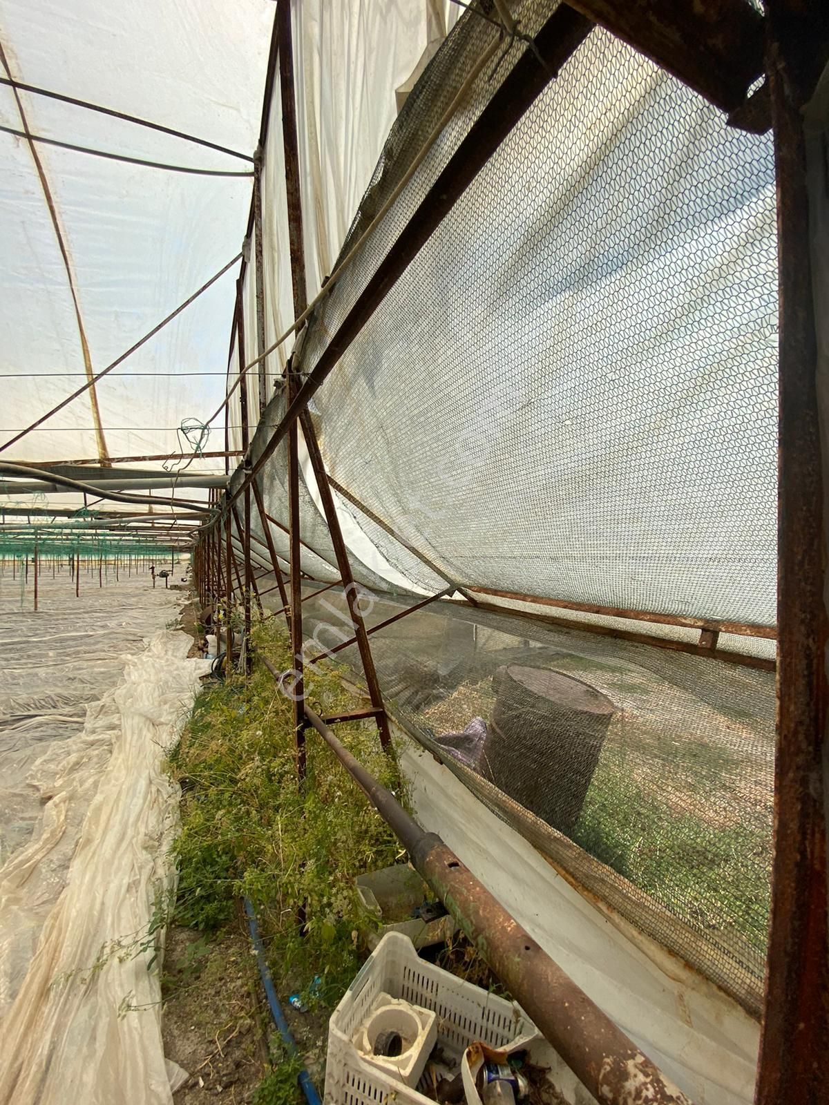 Ortaca Eskiköy De 5200 M2 Tarla İçinde Müstakil Ev Ve Sera Satılık - Görsel 7