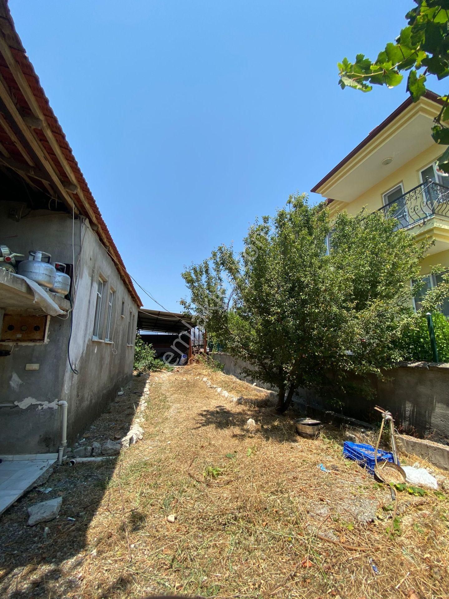 Ortaca Eskiköy De 5200 M2 Tarla İçinde Müstakil Ev Ve Sera Satılık - Görsel 9