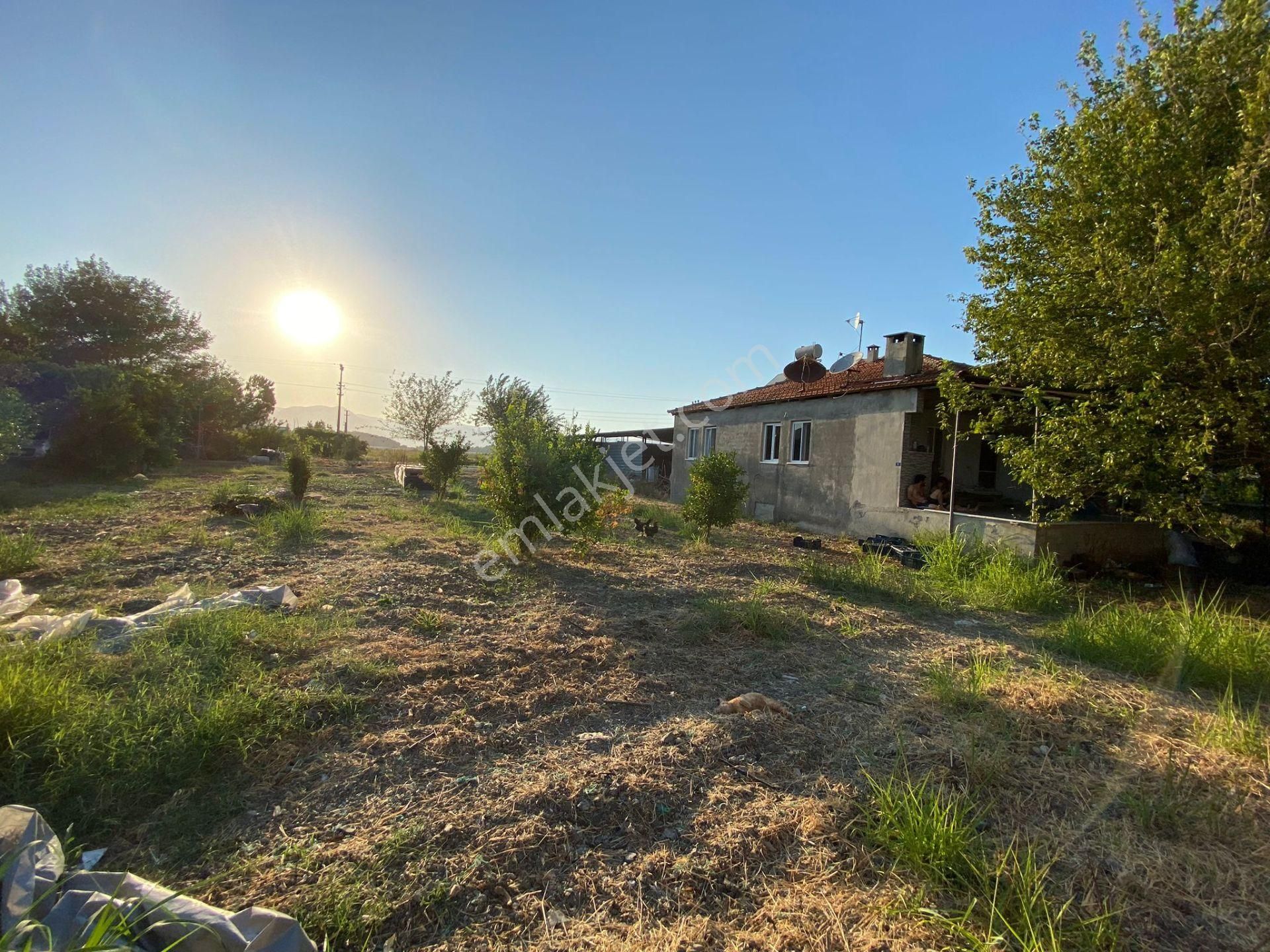 Ortaca Eskiköy De 5200 M2 Tarla İçinde Müstakil Ev Ve Sera Satılık - Görsel 12