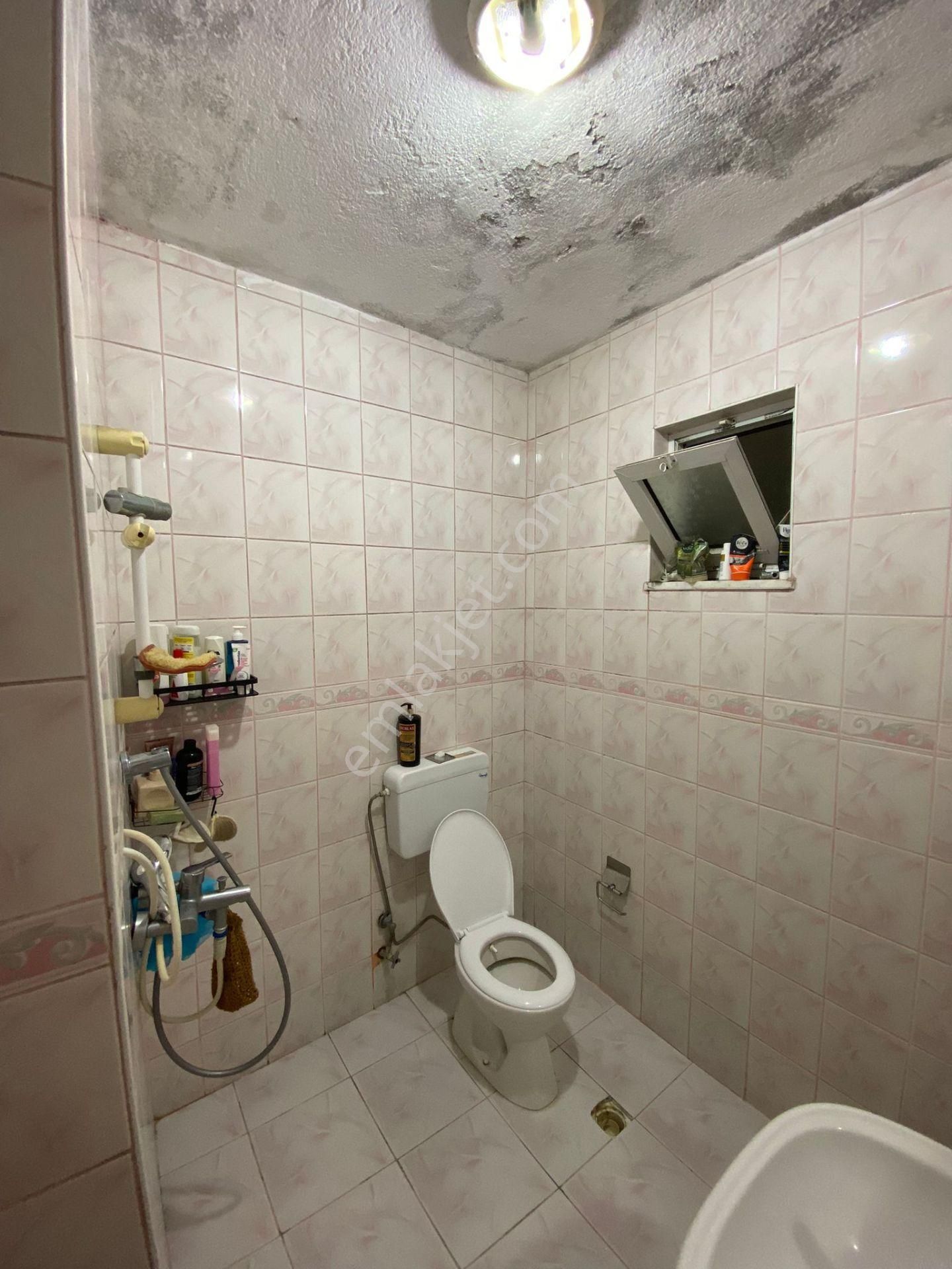 Ortaca Eskiköy De 5200 M2 Tarla İçinde Müstakil Ev Ve Sera Satılık - Görsel 29