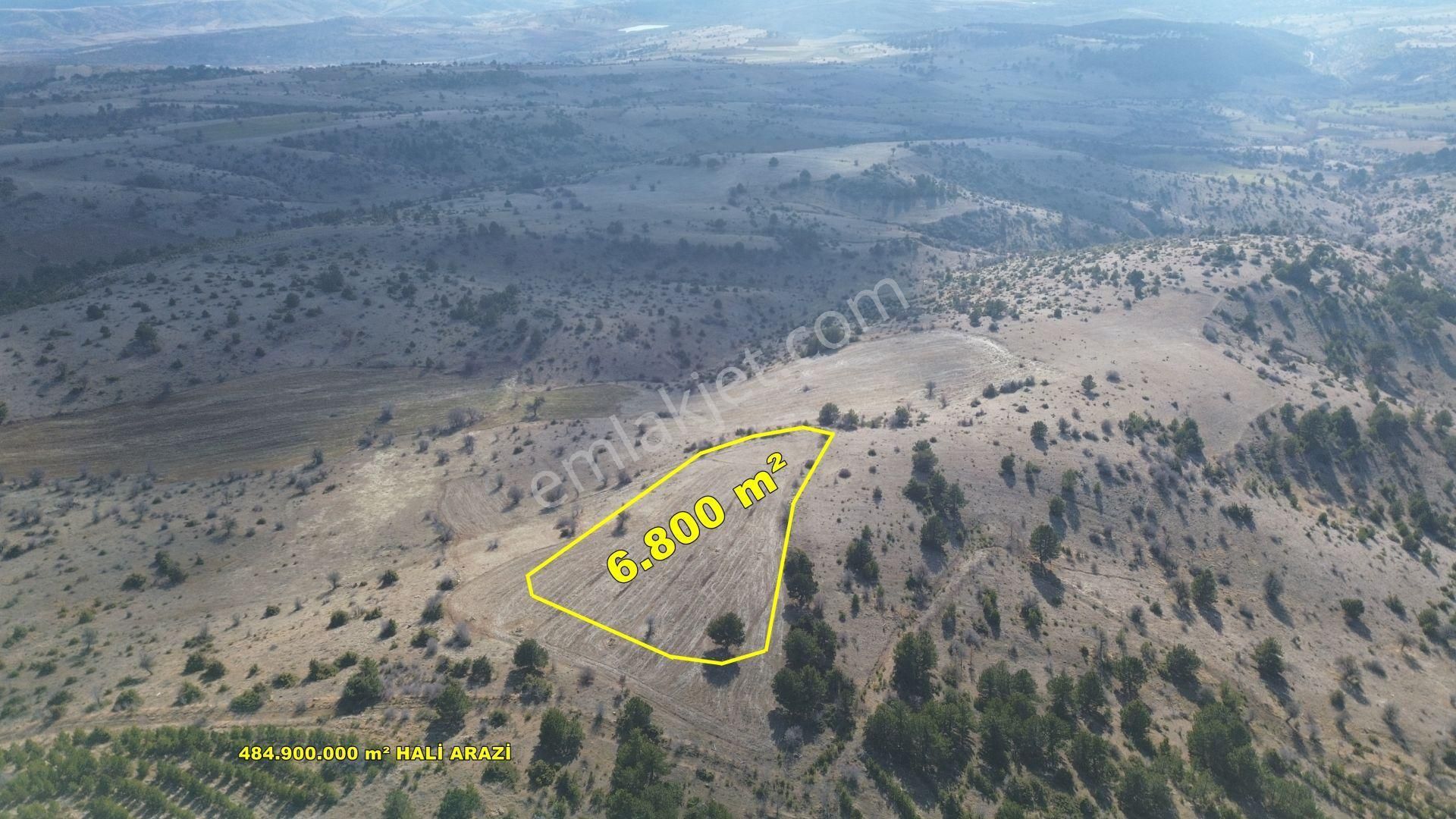 Konya / Ilgın / Yukarıçiğil-küçük Mahallesinde 6.800 M² Müstakil Tapulu Tarla
