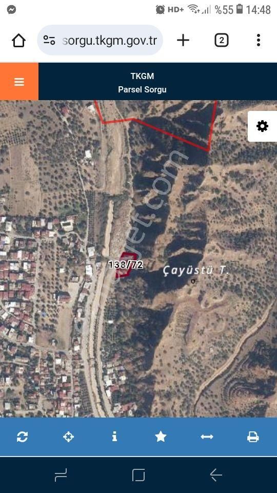 Nazilli Pınarbaşında Satılık Zeytınlık Cemevi Karşısı