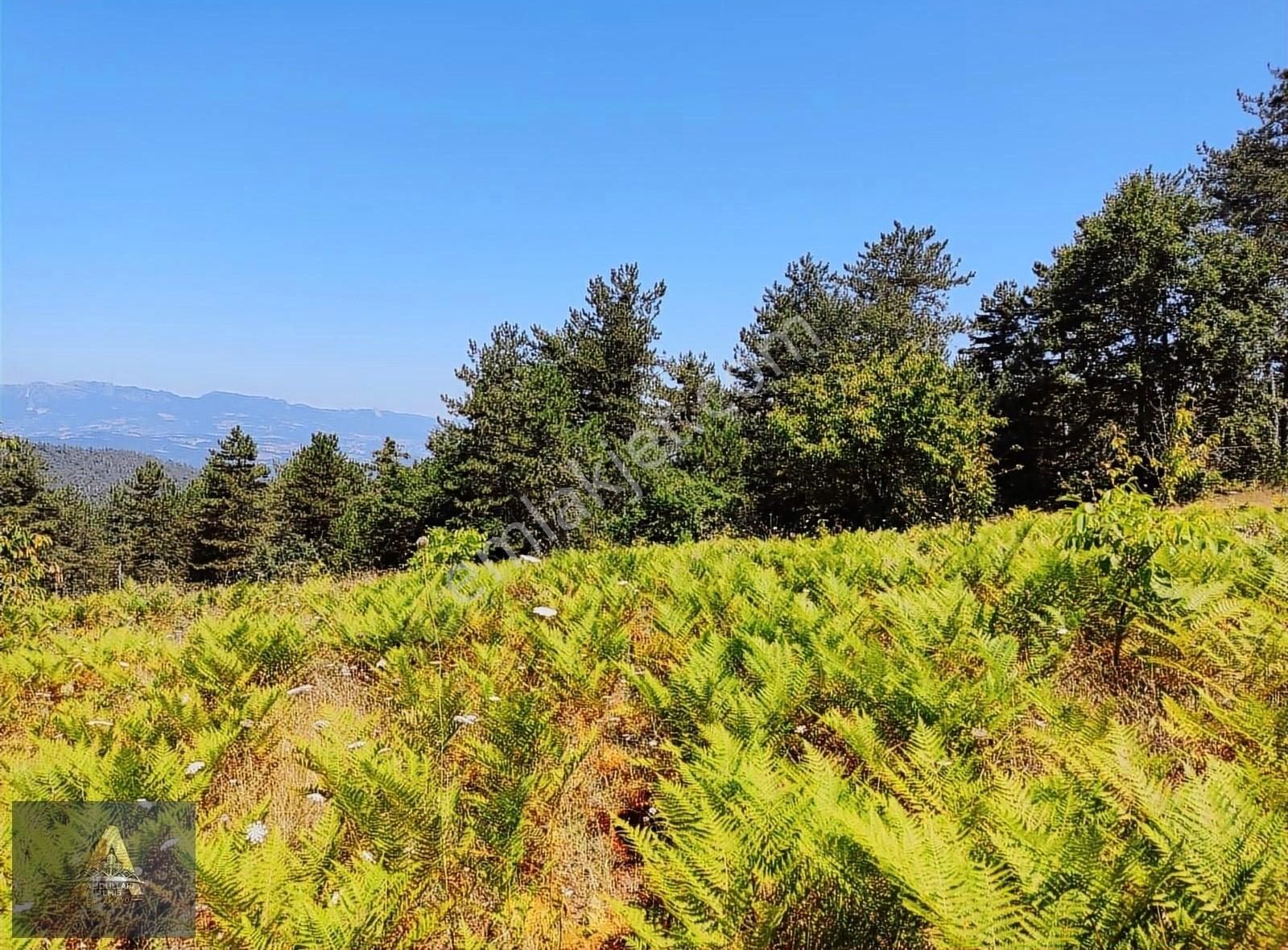Doğa İle İç İçe Yatırım Fırsatı 150 Metre Yakınında Çeşme Var