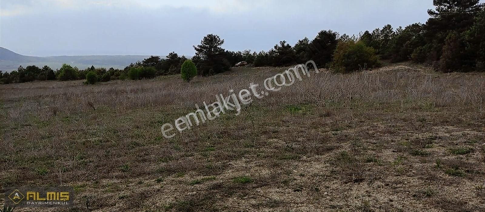 Fırsatbilecik Gölpazarı Dokuz 5.088 M2 Yatırımlık Tarla