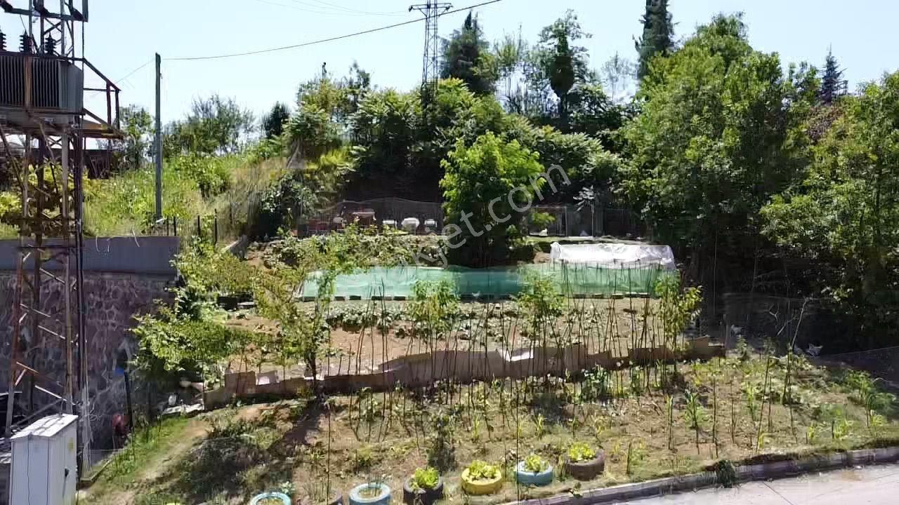 Trabzon Gürbulakta Satılık Yol Kenarı Arazi - Görsel 5
