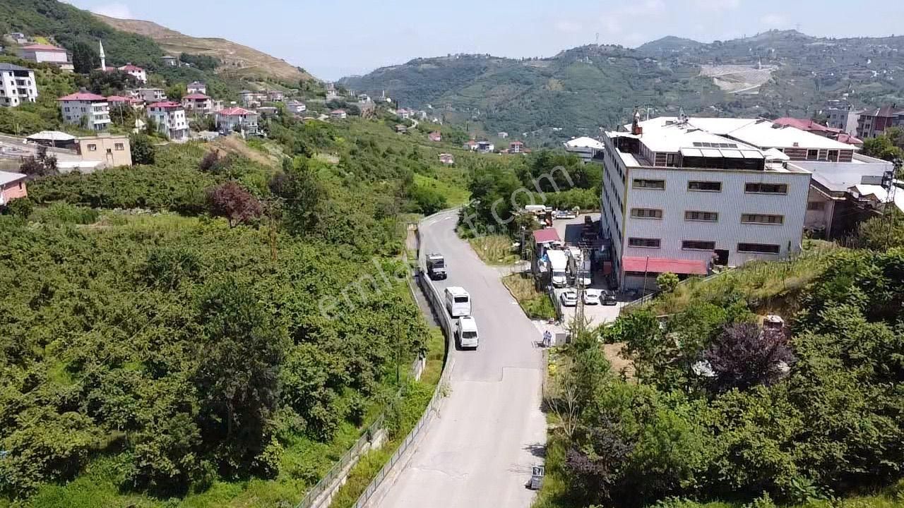 Trabzon Gürbulakta Satılık Yol Kenarı Arazi - Görsel 11