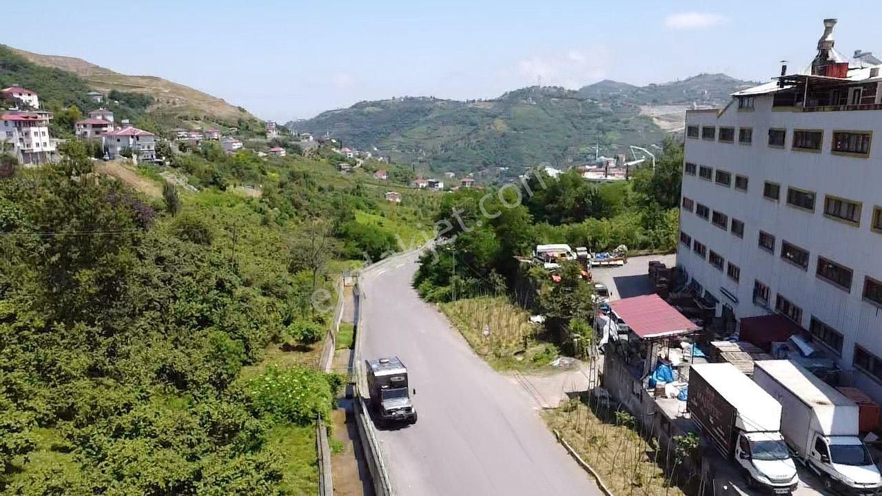 Trabzon Gürbulakta Satılık Yol Kenarı Arazi - Görsel 8