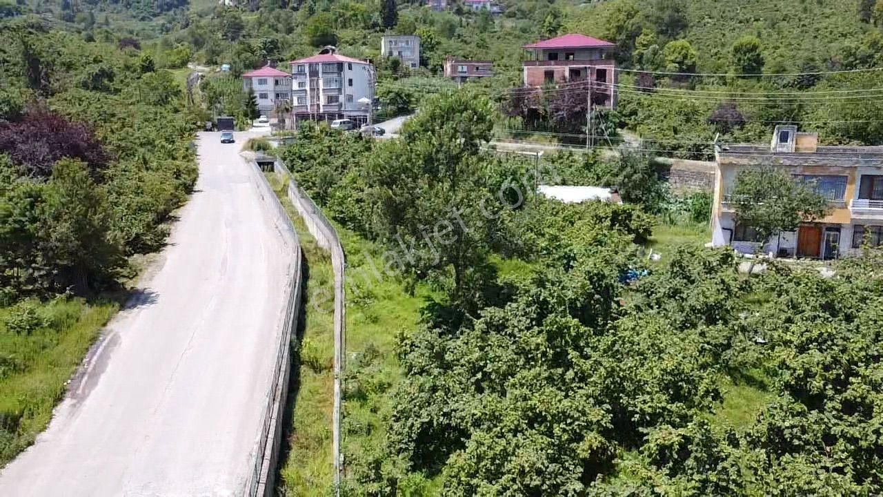 Trabzon Gürbulakta Satılık Yol Kenarı Arazi - Görsel 9