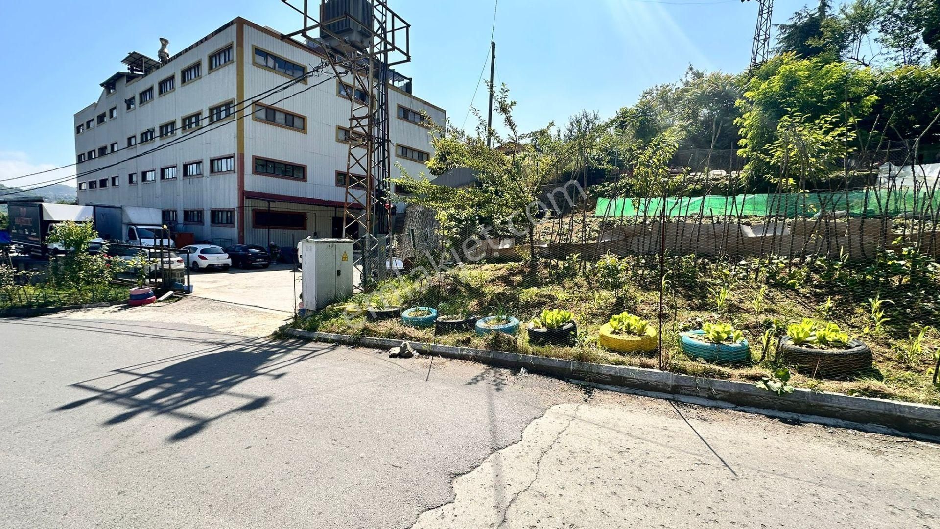 Trabzon Gürbulakta Satılık Yol Kenarı Arazi - Görsel 2