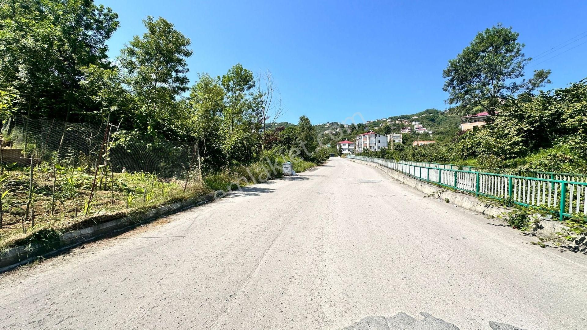 Trabzon Gürbulakta Satılık Yol Kenarı Arazi - Görsel 3