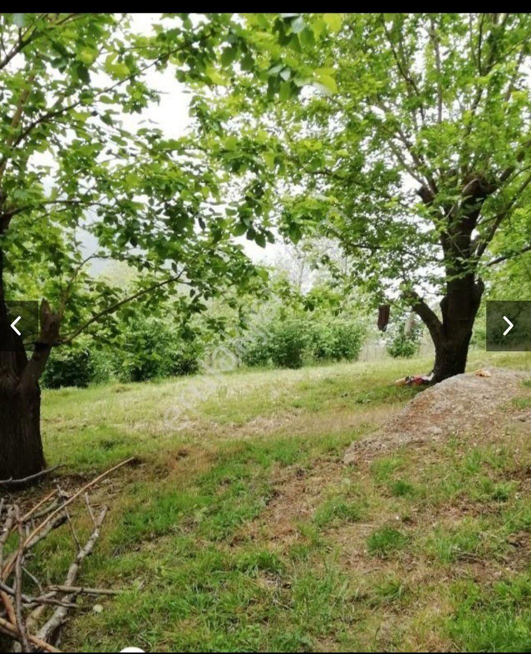 Perşembe Ramazan Mahallesi İmarlı Bahçe. - Görsel 5