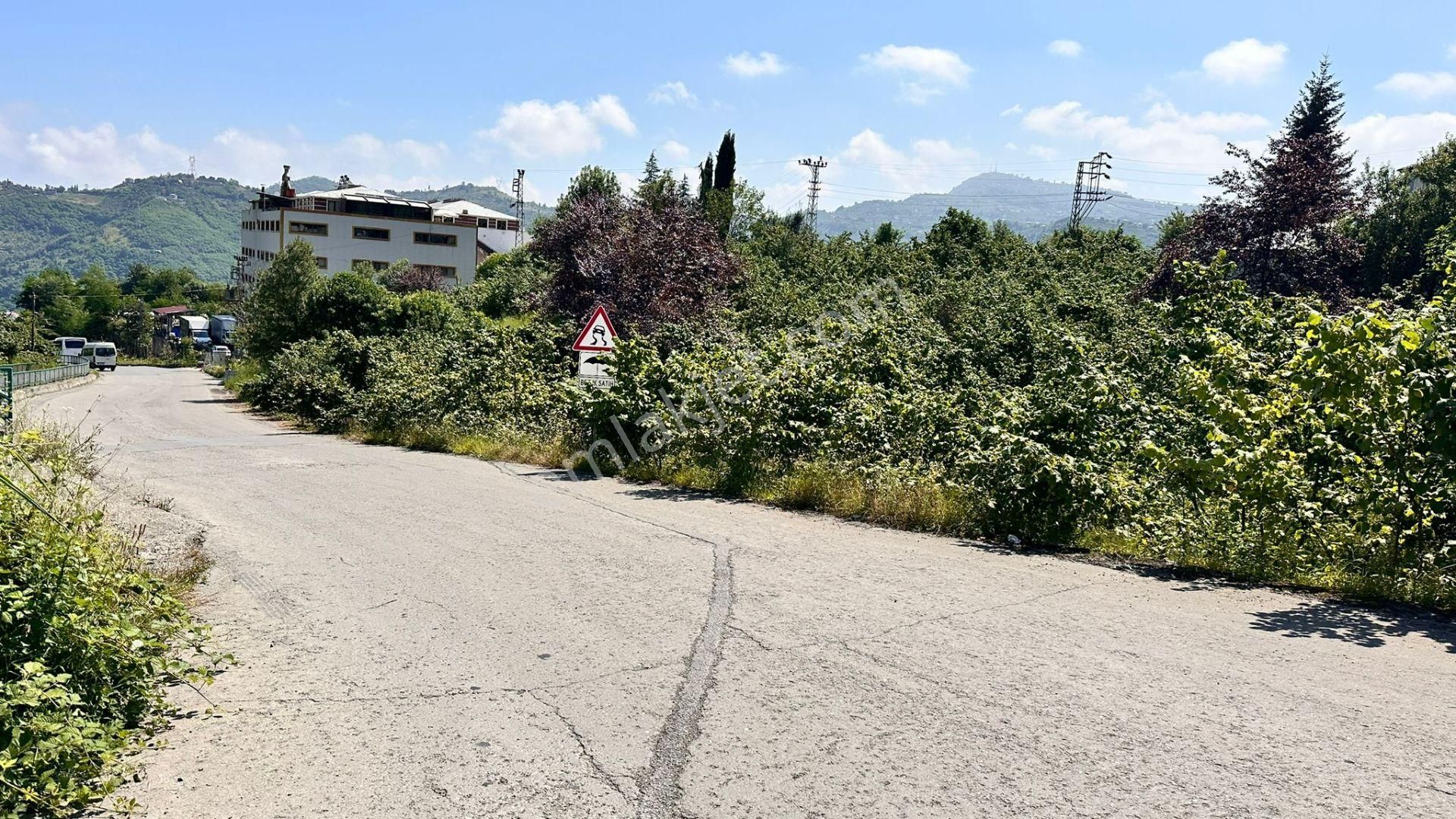 Trabzon Gürbulak Ta Köşe Parsel Satılık Arazi - Görsel 5