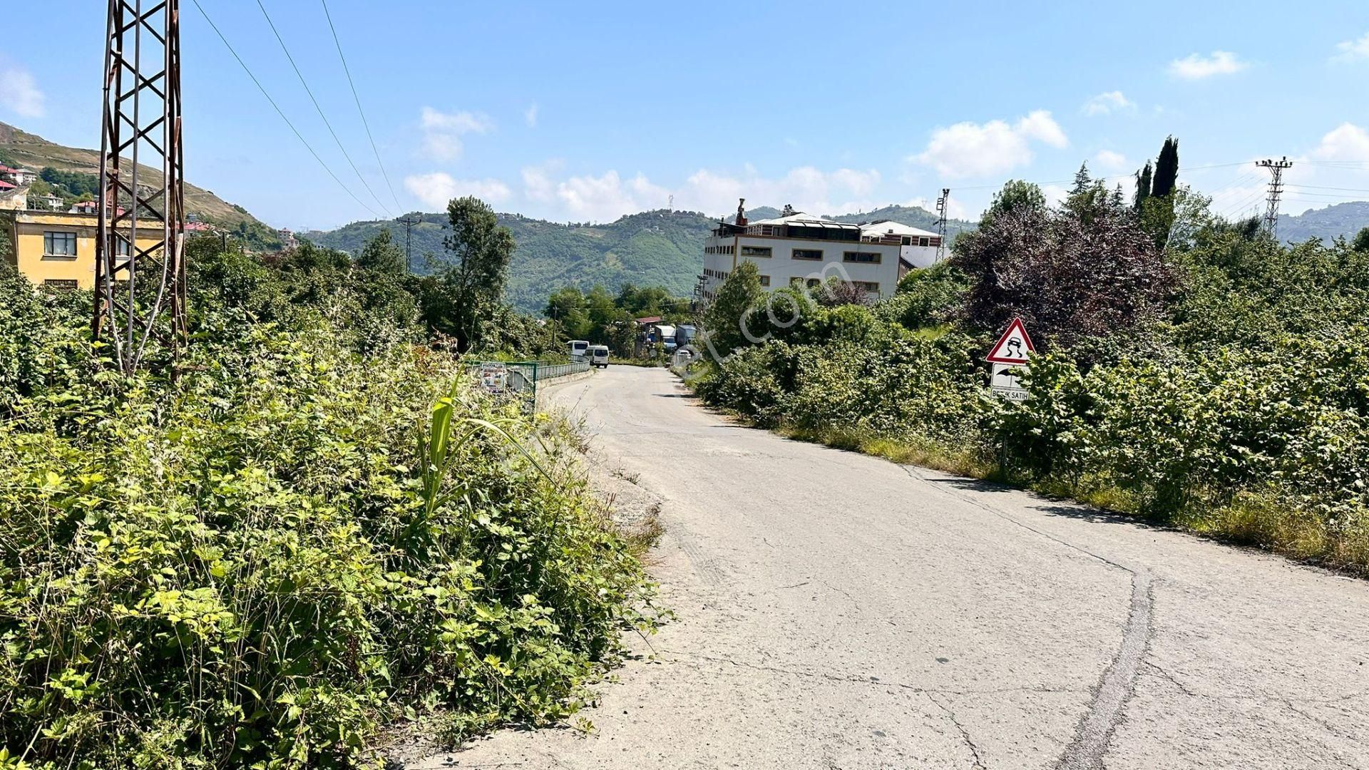 Trabzon Gürbulak Ta Köşe Parsel Satılık Arazi - Görsel 6