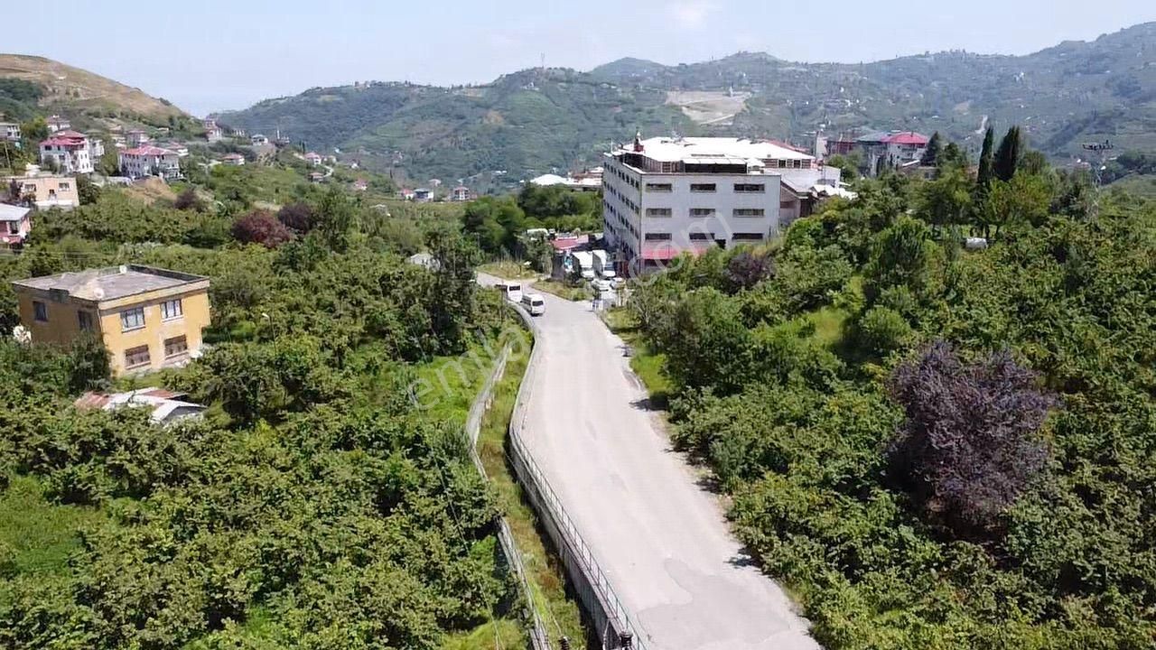 Trabzon Gürbulak Ta Köşe Parsel Satılık Arazi - Görsel 2