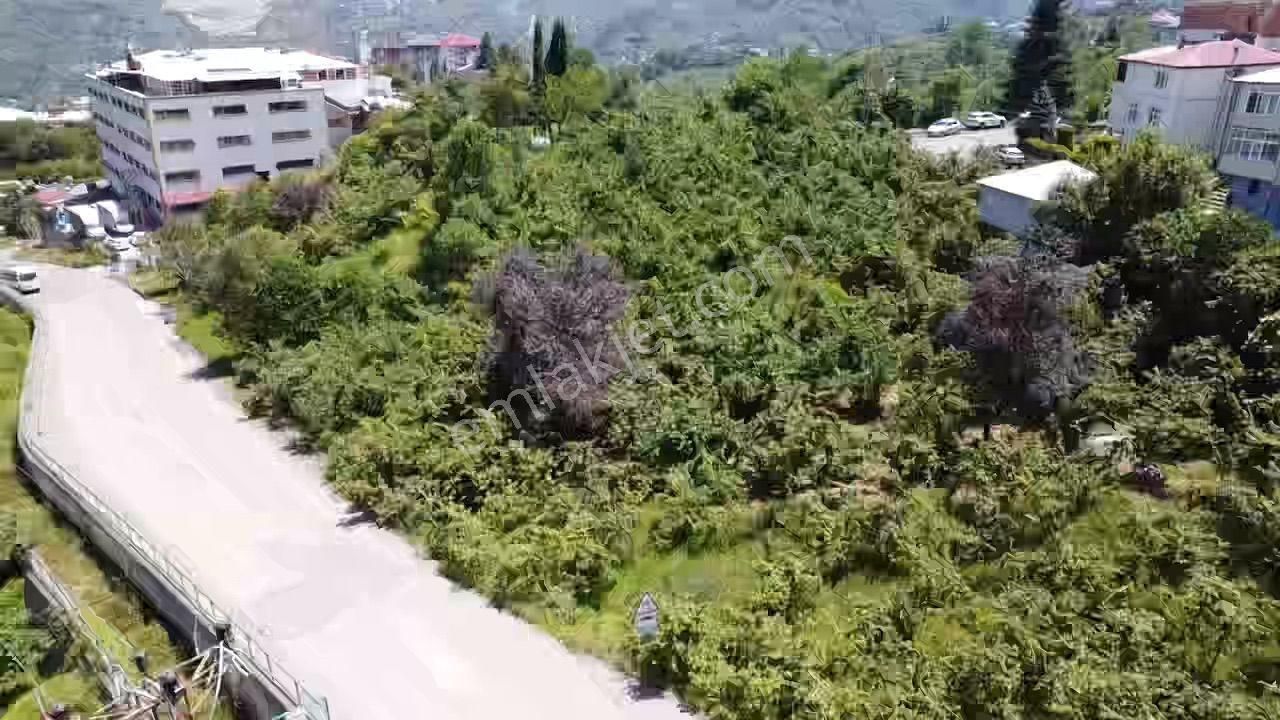 Trabzon Gürbulak Ta Köşe Parsel Satılık Arazi - Görsel 4