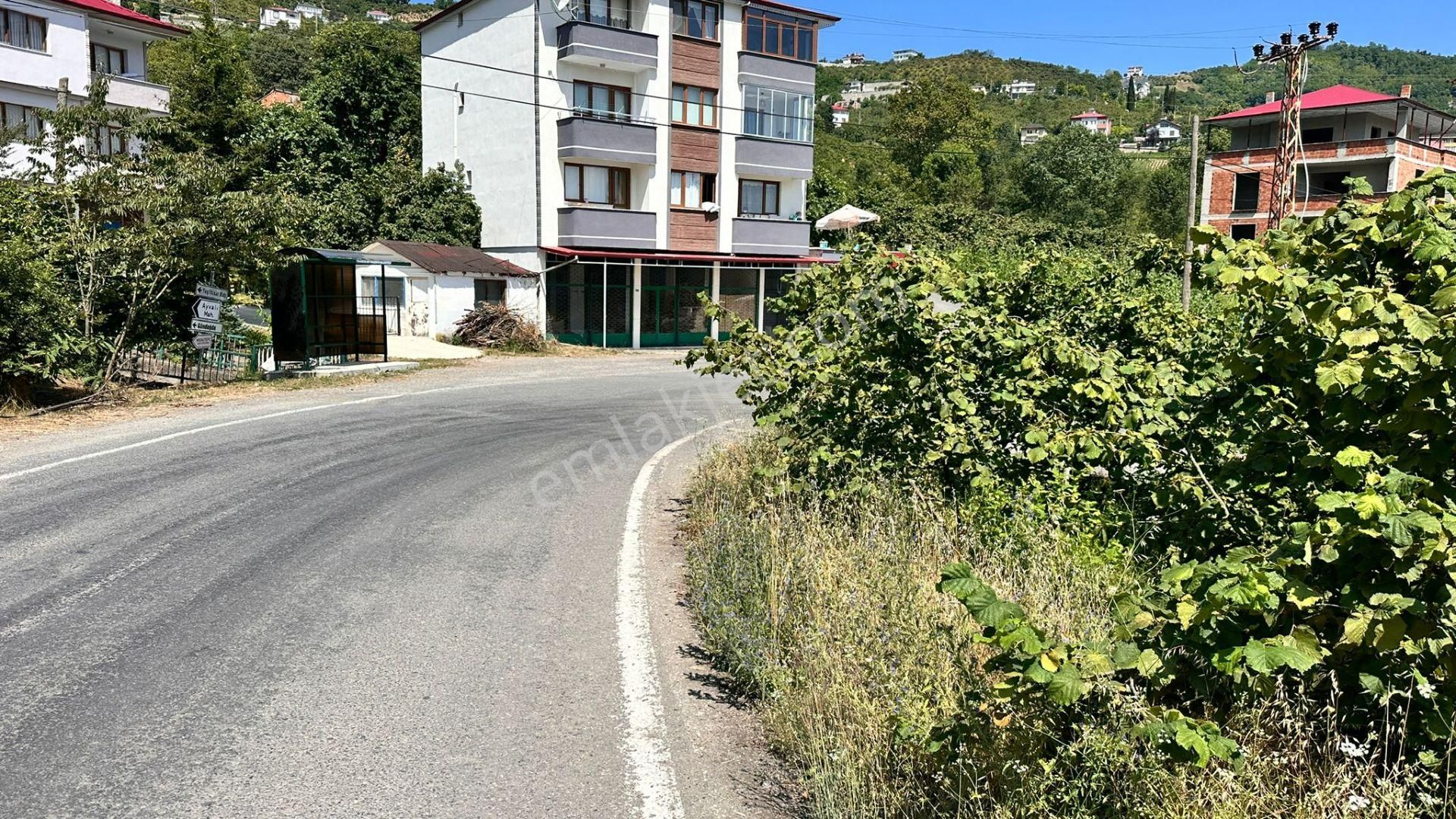 Trabzon Gürbulak Ta Köşe Parsel Satılık Arazi - Görsel 8