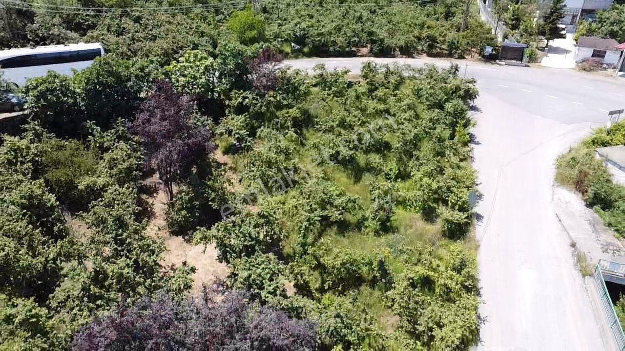 Trabzon Gürbulak Ta Köşe Parsel Satılık Arazi - Görsel 3