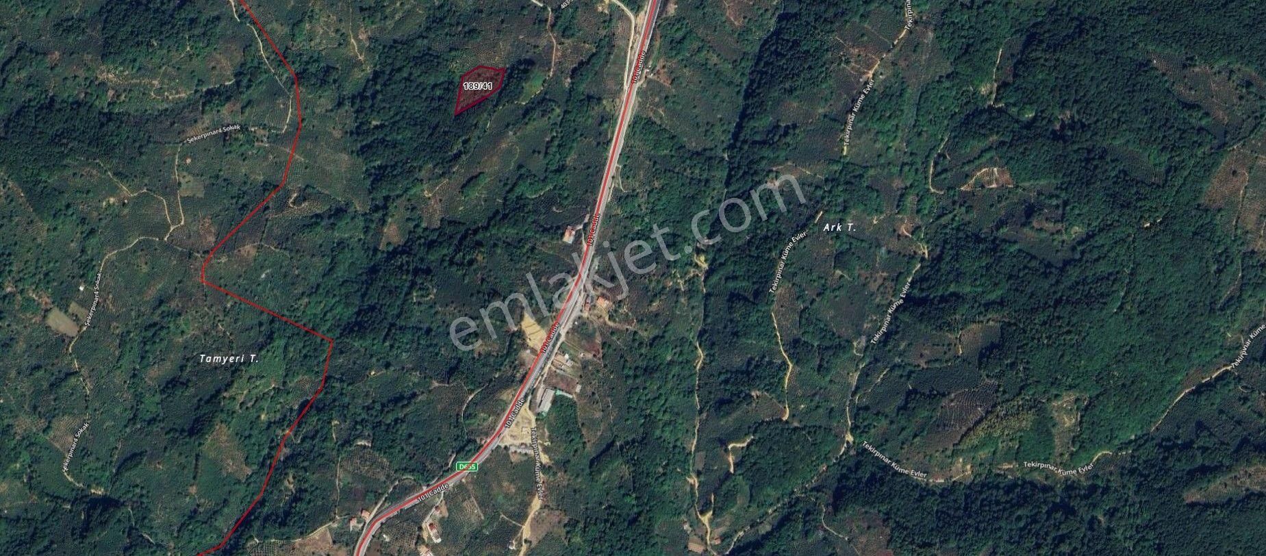 Akçakoca Yolu Üzeri Dokuzpınar Mevkiinde Satılık Fındık Bahçesi