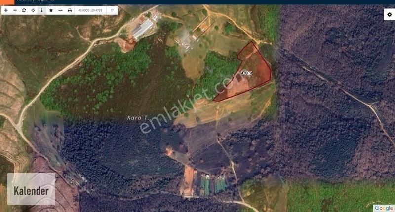 Gebze Mollafenari De Etrafı Orman 850 M2 Yolu Açılmış Arsa
