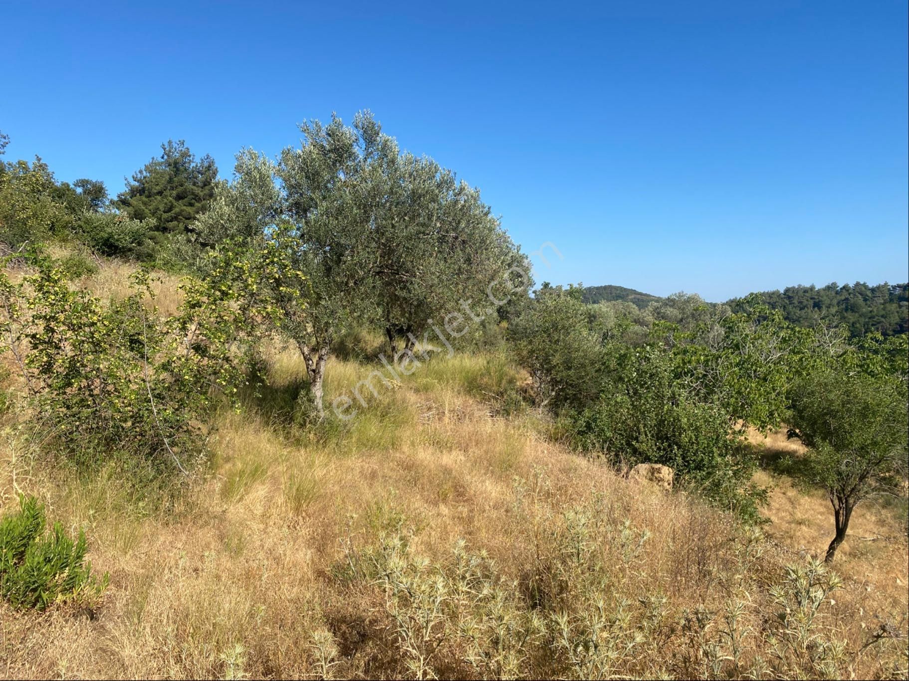 İgo Emlaktan Ahmetçe Köyünde Fırsat Tarla - Görsel 14