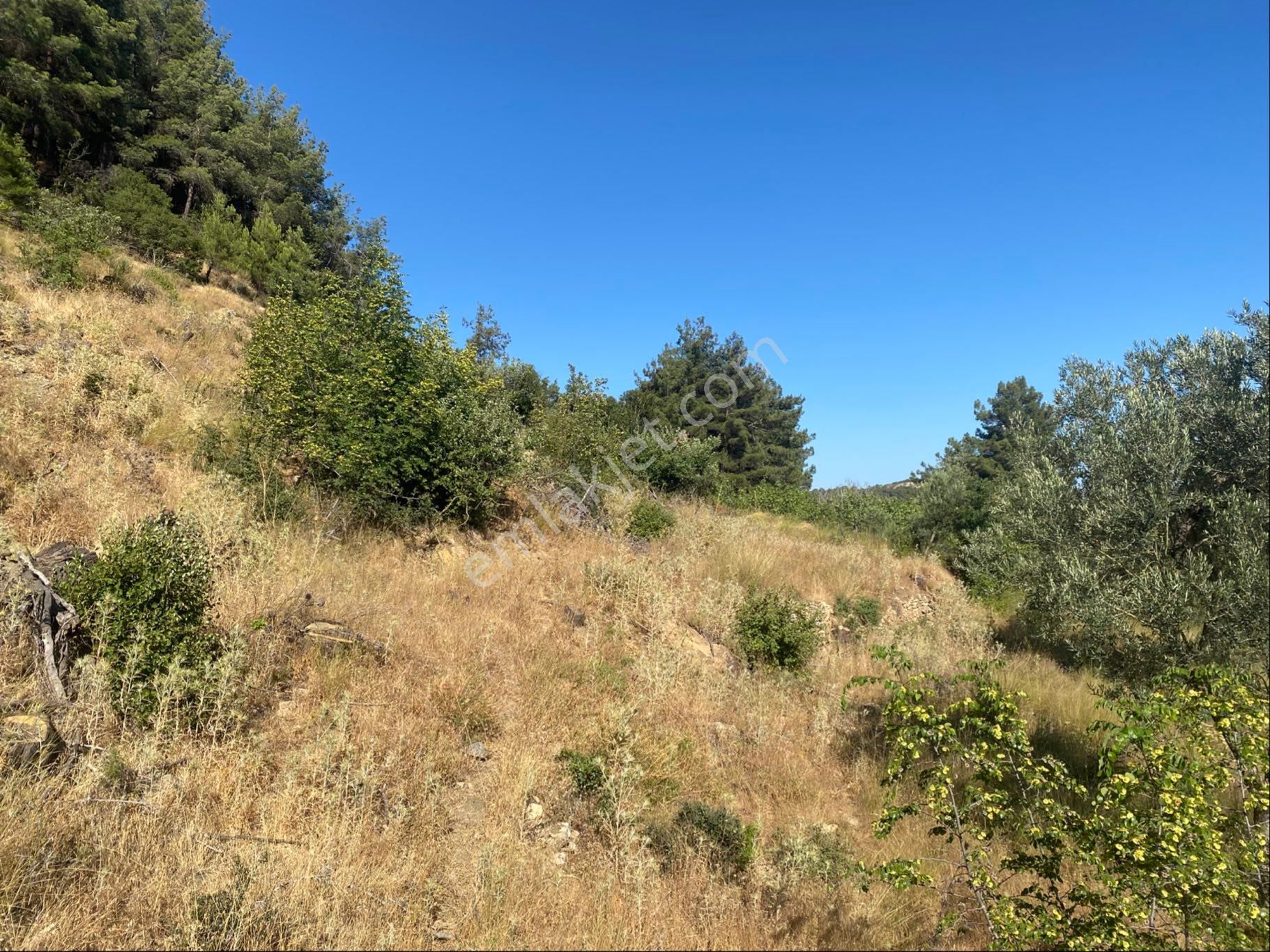 İgo Emlaktan Ahmetçe Köyünde Fırsat Tarla - Görsel 16