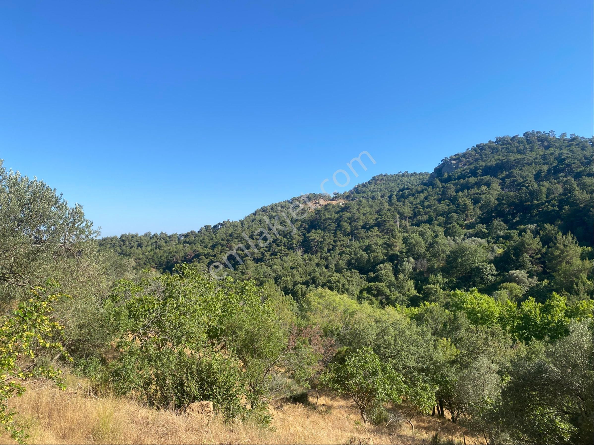 İgo Emlaktan Ahmetçe Köyünde Fırsat Tarla - Görsel 19