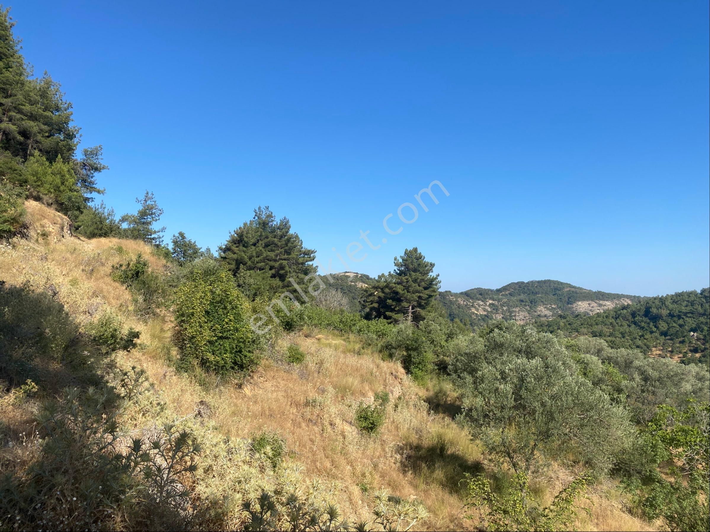 İgo Emlaktan Ahmetçe Köyünde Fırsat Tarla