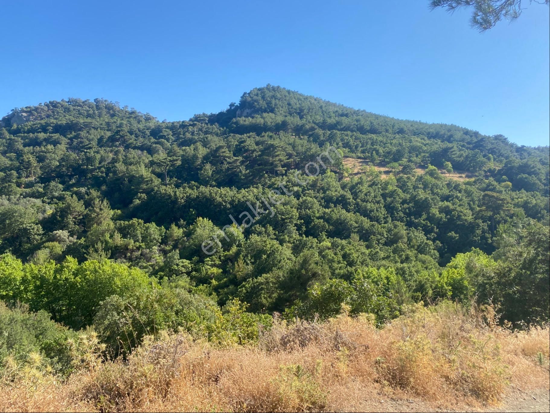 İgo Emlaktan Ahmetçe Köyünde Fırsat Tarla - Görsel 9